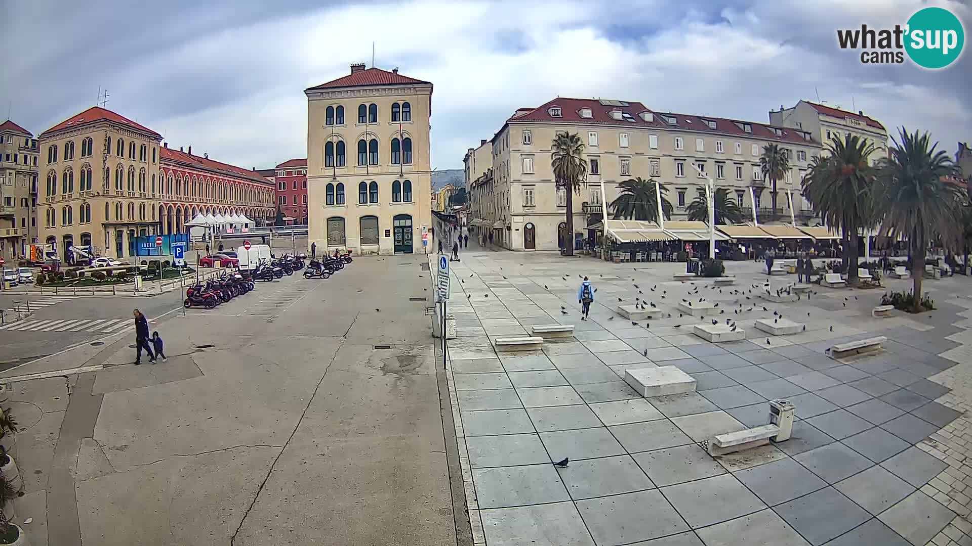 Webcam Split Riva – Prokurative | Trg Republike