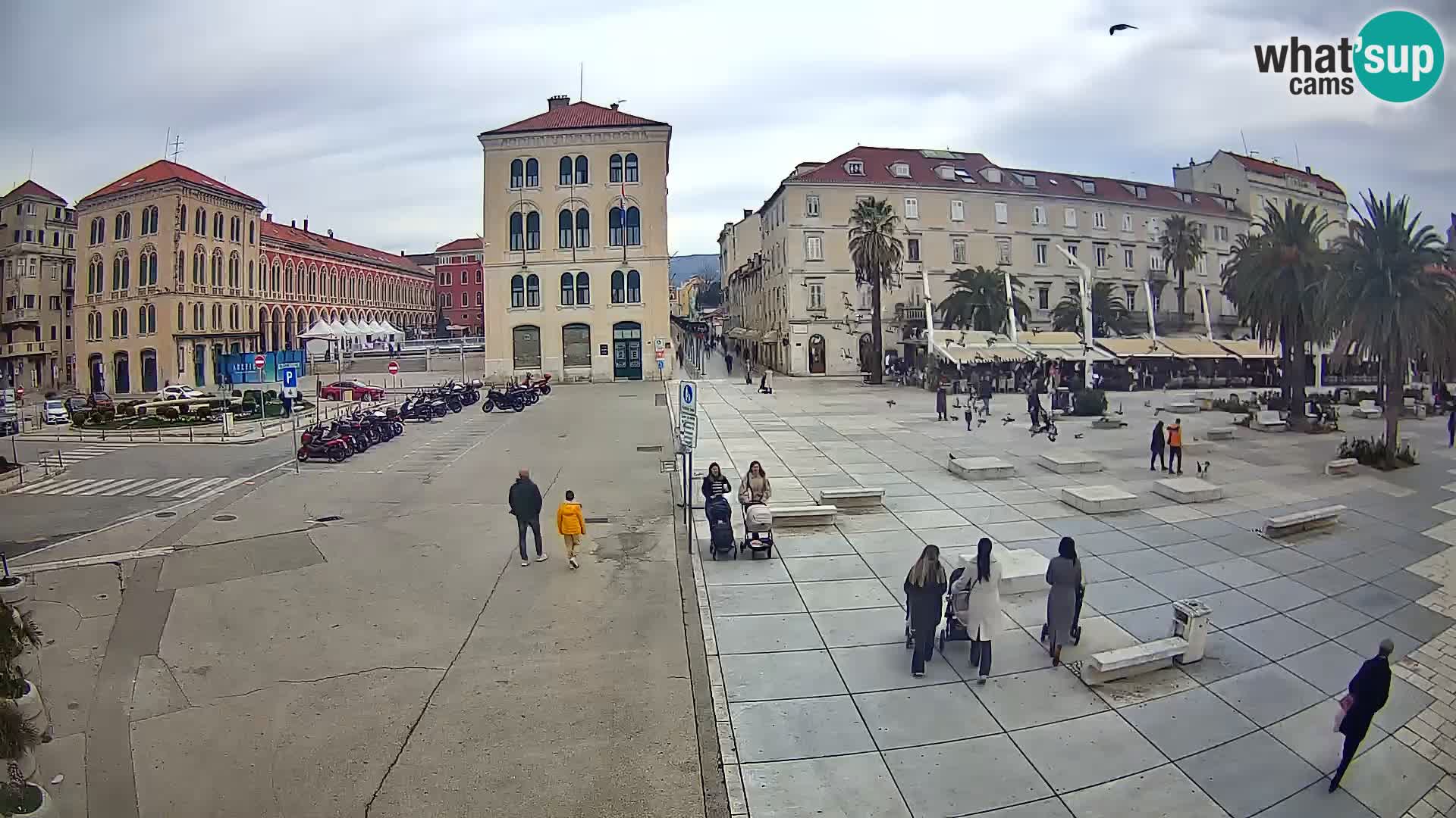 Webcam Split Riva – Prokurative | Trg Republike