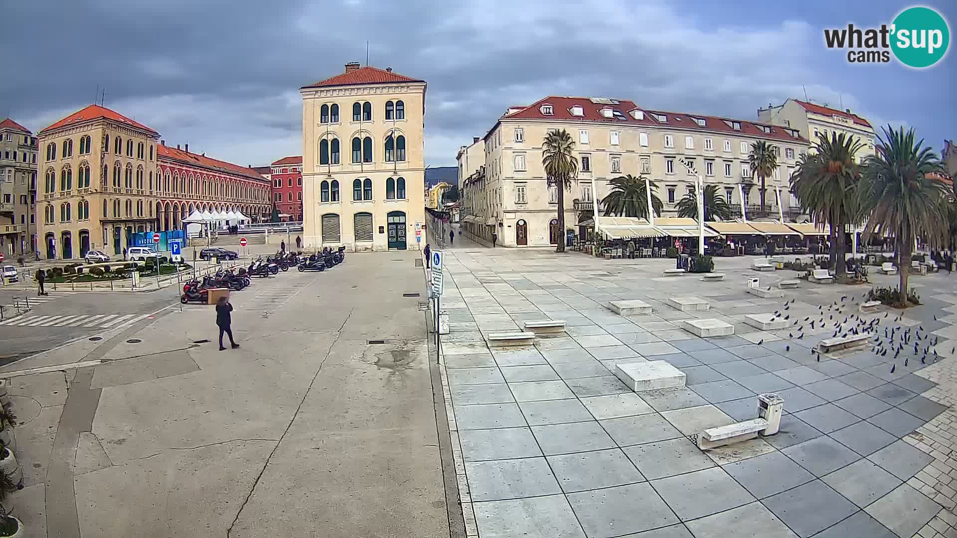Webcam Split Riva – Prokurative | Trg Republike