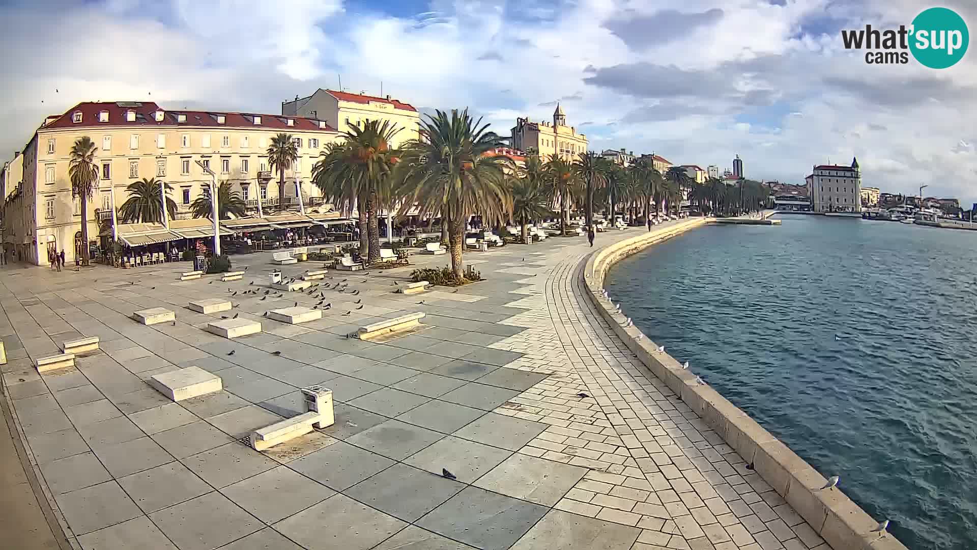 Webcam Split Riva – Prokurative | Trg Republike