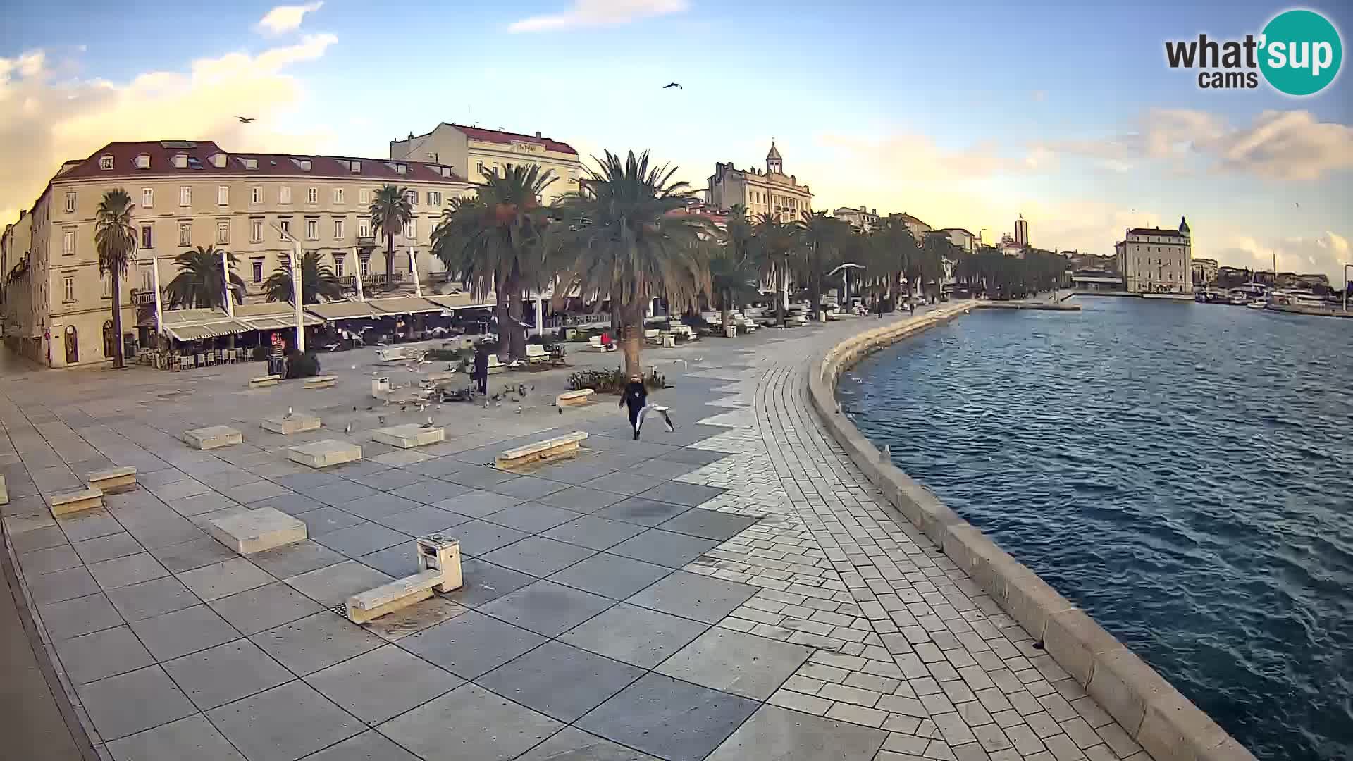 Webcam Split Riva – Prokurative | Trg Republike