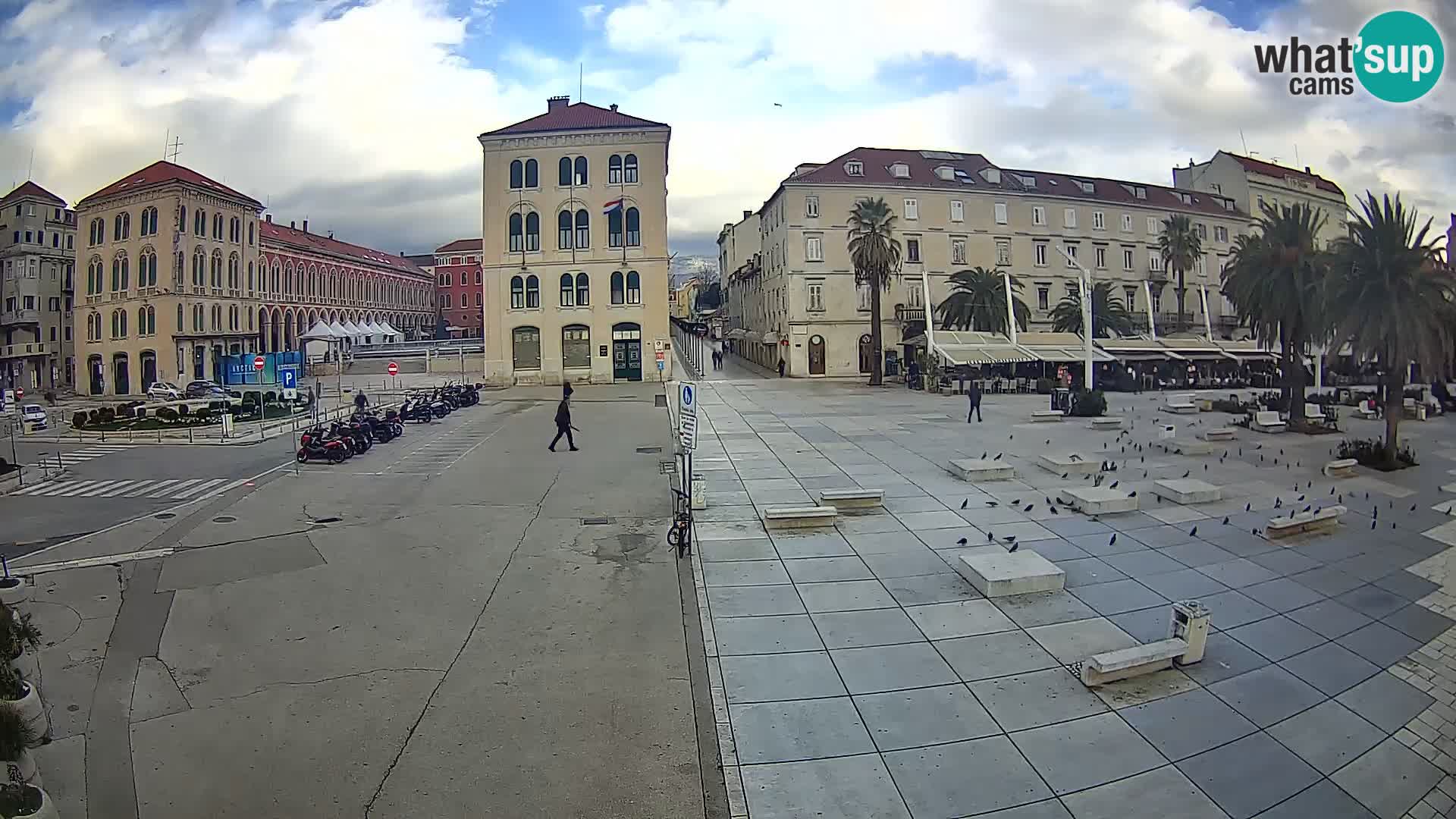 Webcam Split Riva – Prokurative | Trg Republike