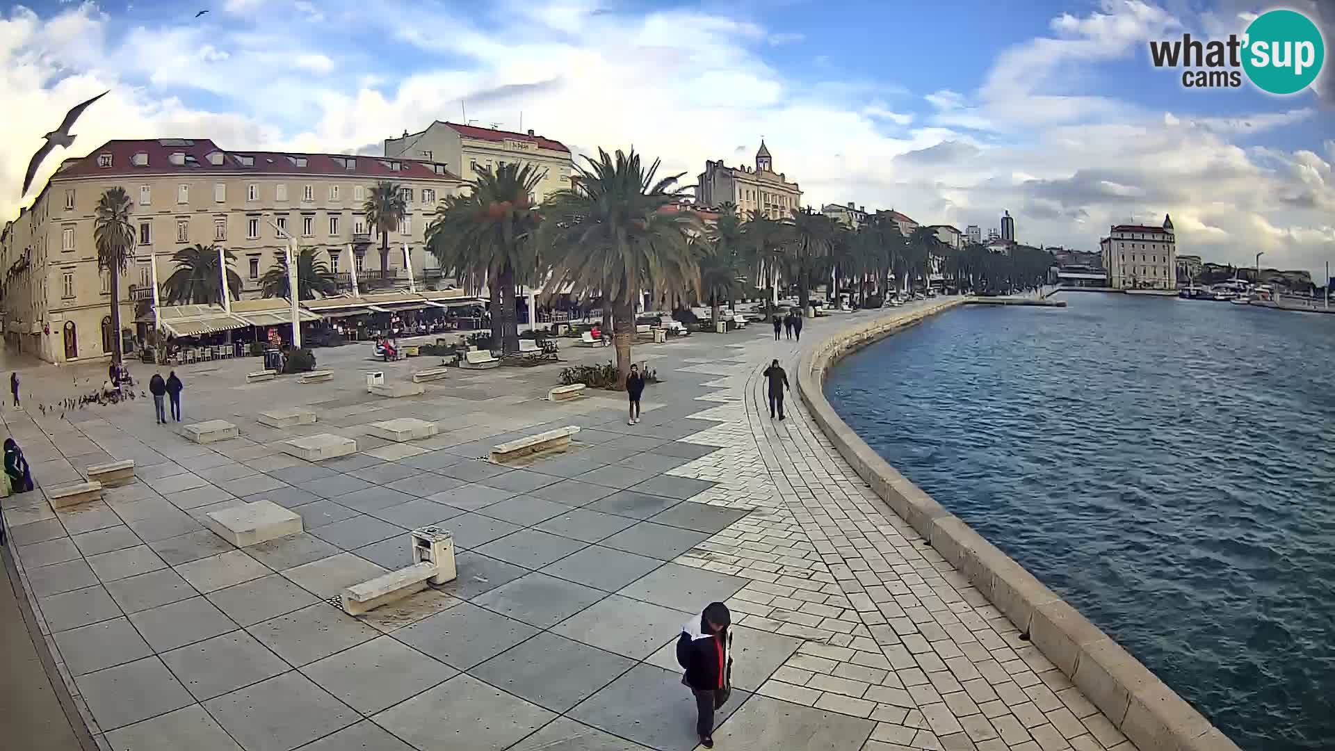 Webcam Split Riva – Prokurative | Trg Republike