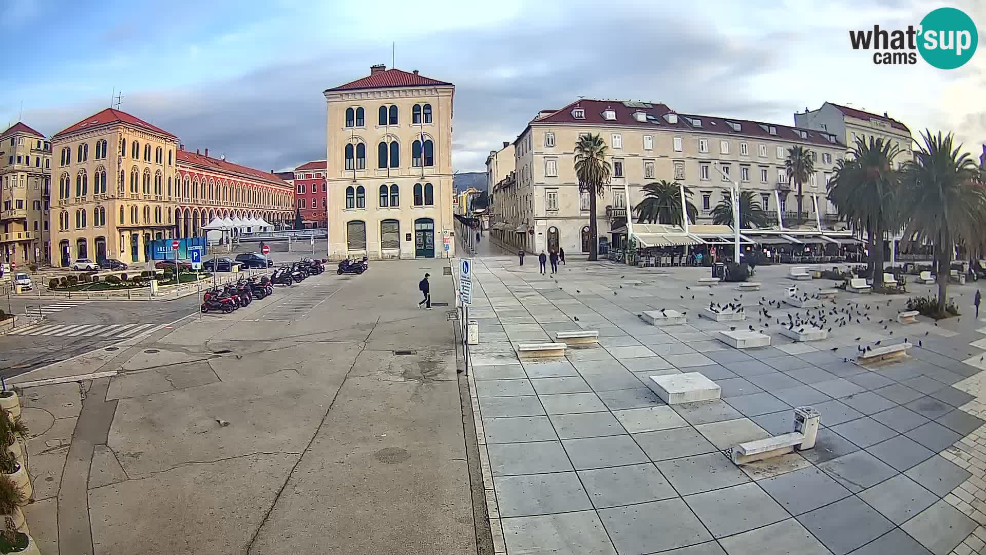 Webcam Split Riva – Prokurative | Trg Republike