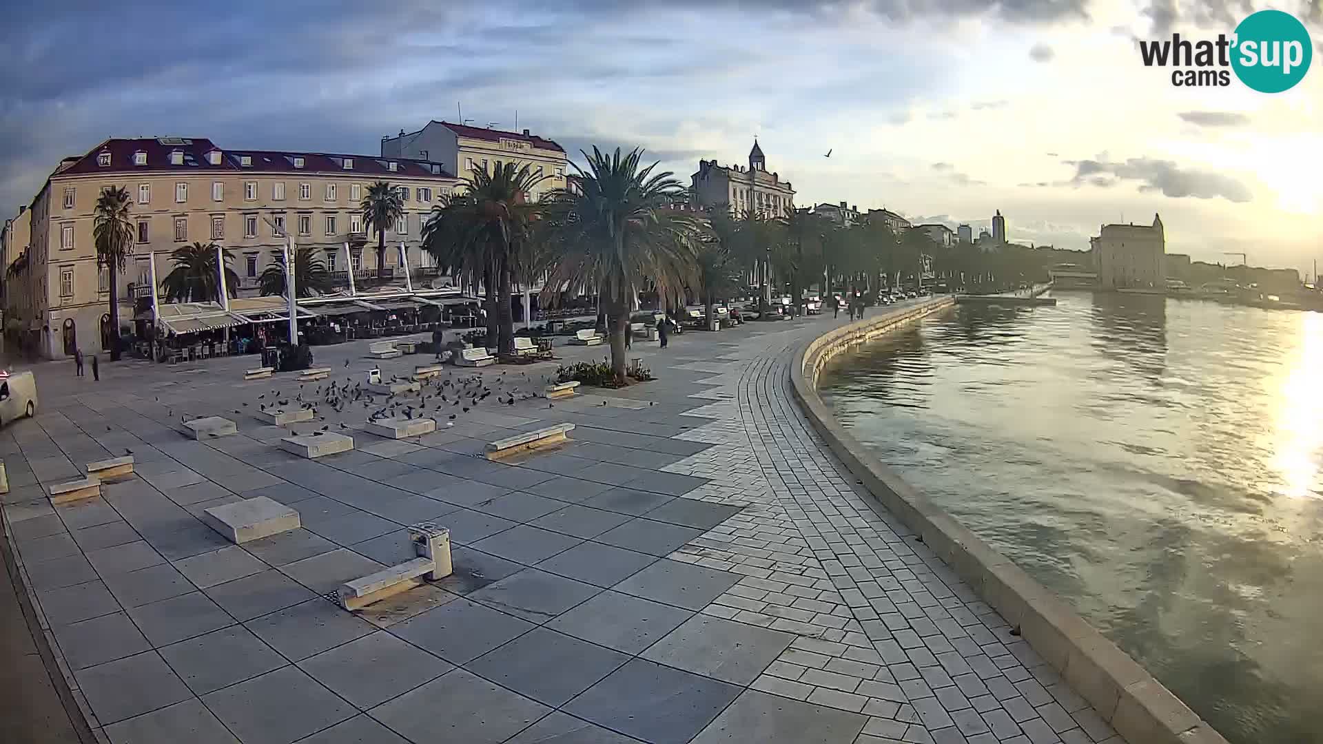 Webcam Split Riva – Prokurative | Trg Republike