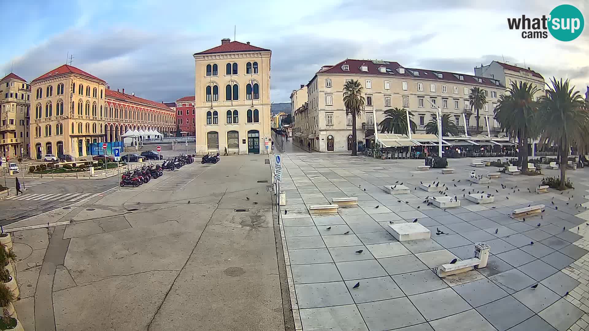 Webcam Split Riva – Prokurative | Trg Republike