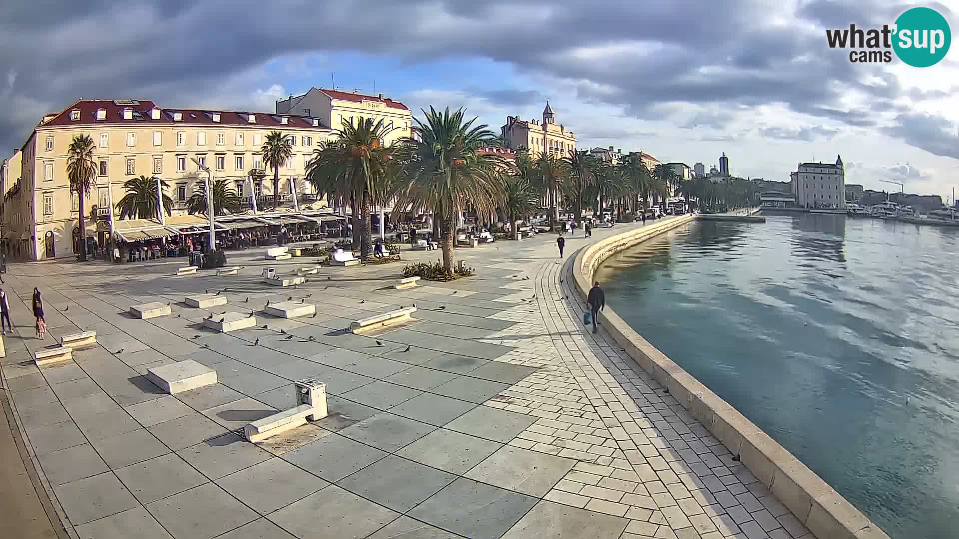 Webcam Split Riva – Prokurative | Trg Republike