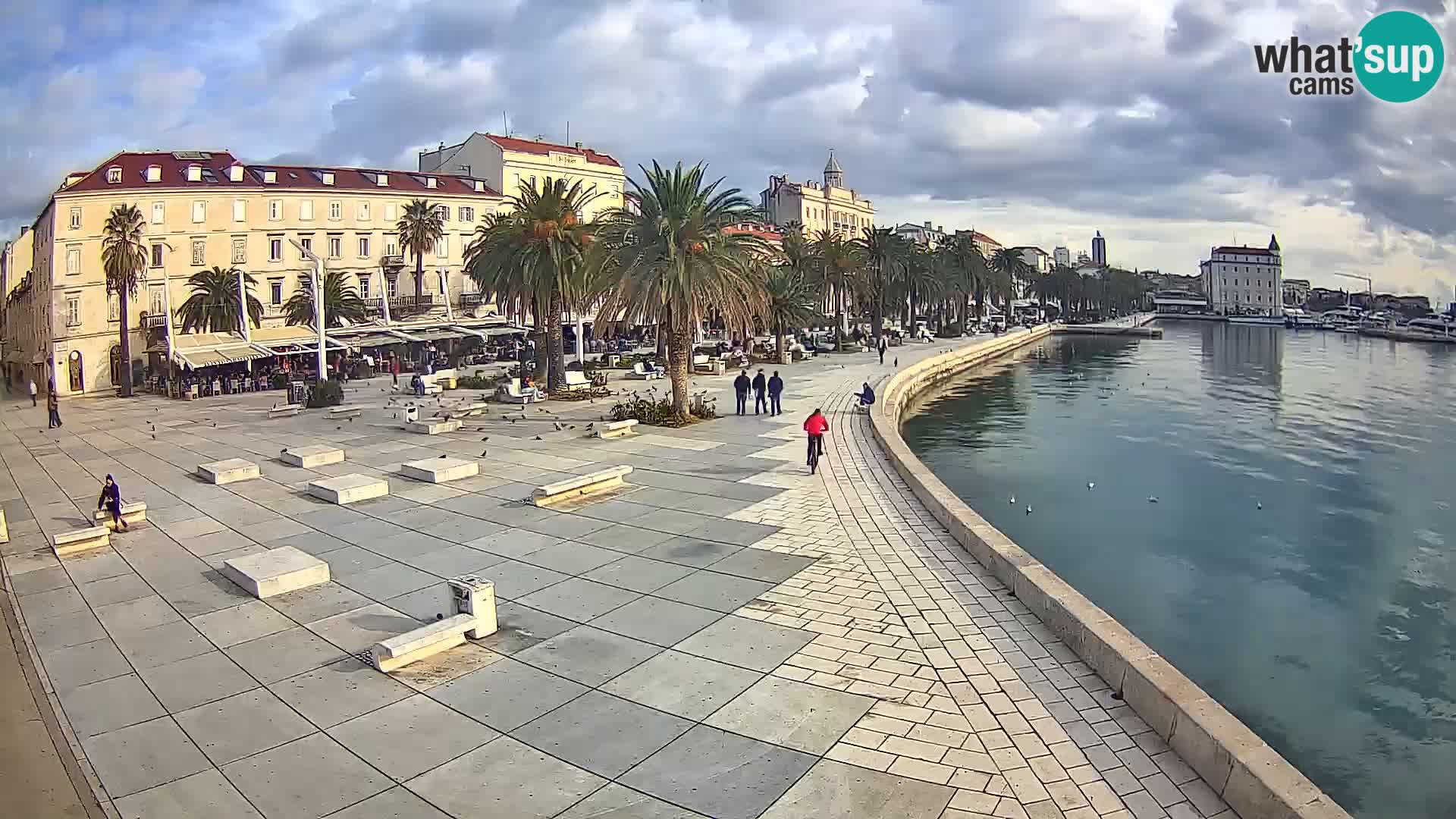 Webcam Split Riva – Prokurative | Trg Republike