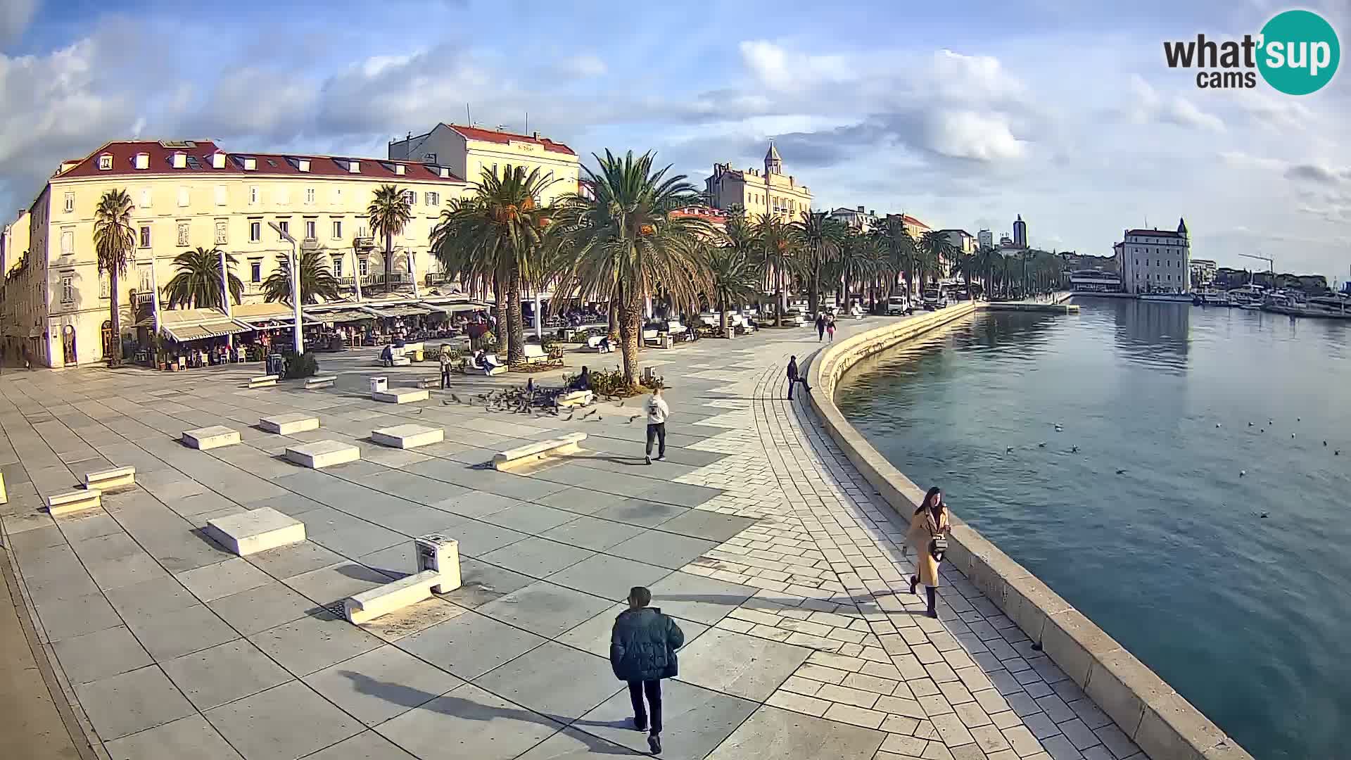 Webcam Split Riva – Prokurative | Trg Republike