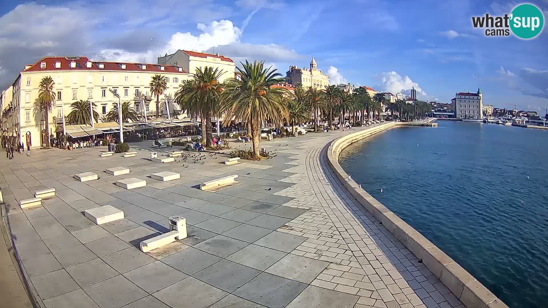 Webcam Split Riva – Prokurative | Trg Republike