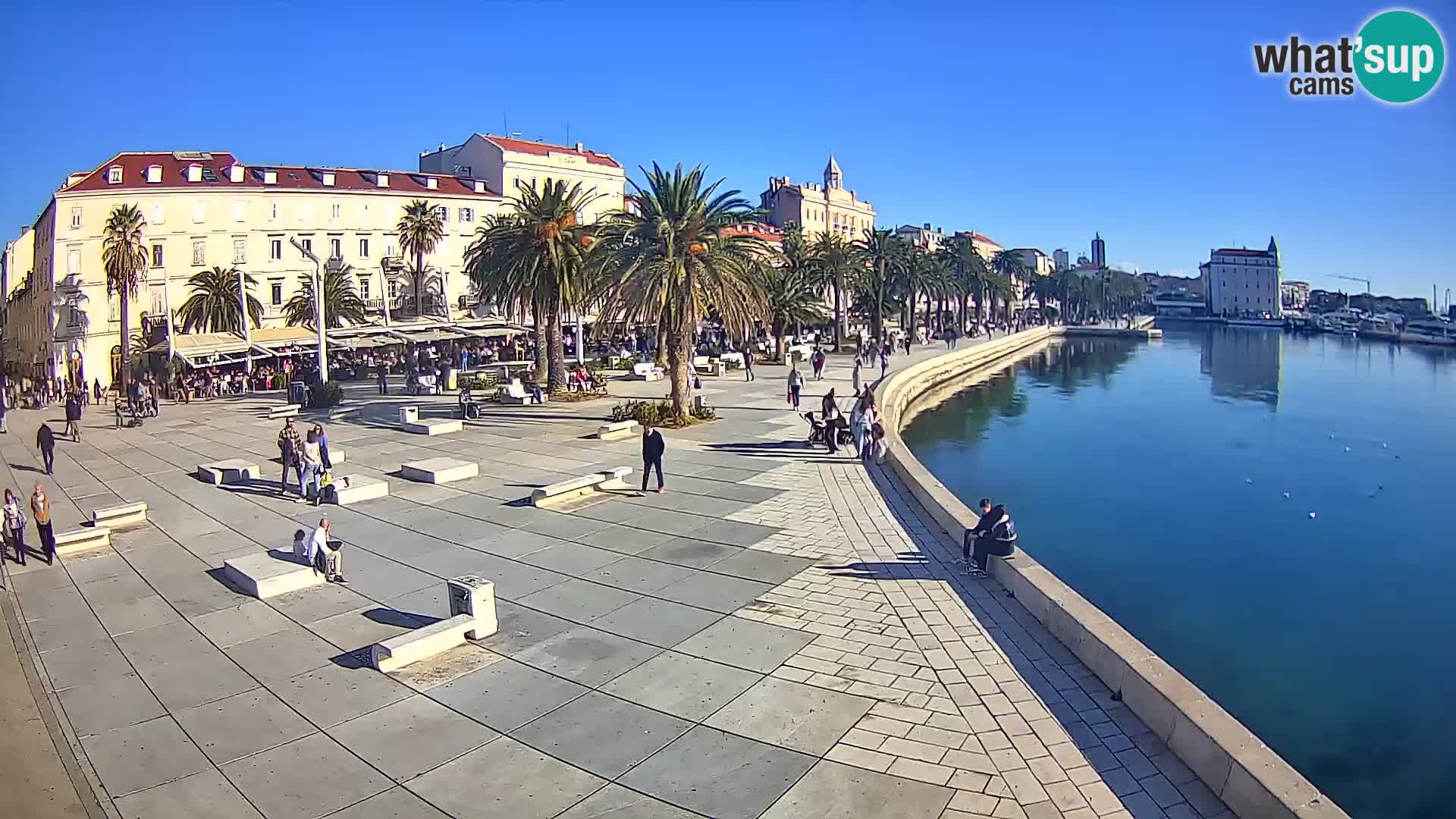 Webcam Split Riva – Prokurative | Trg Republike
