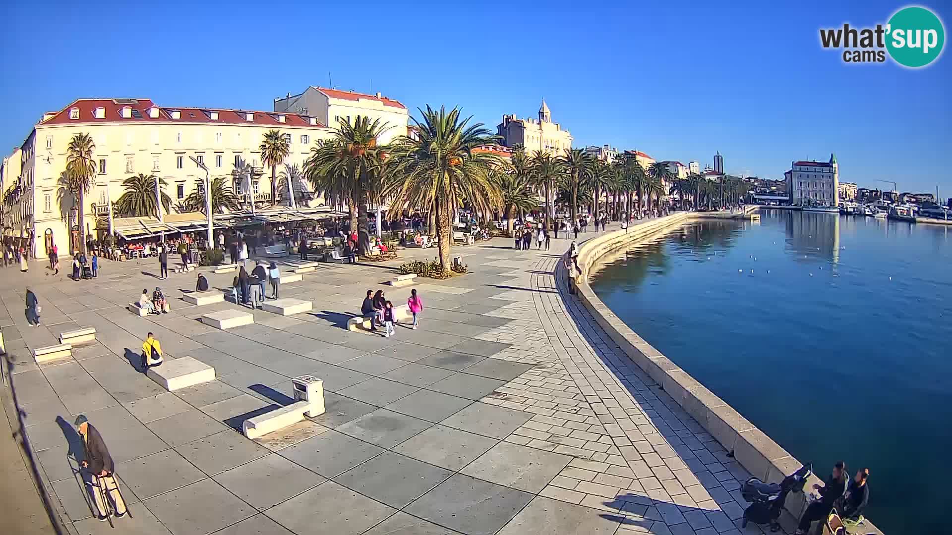 Webcam Split Riva – Prokurative | Trg Republike