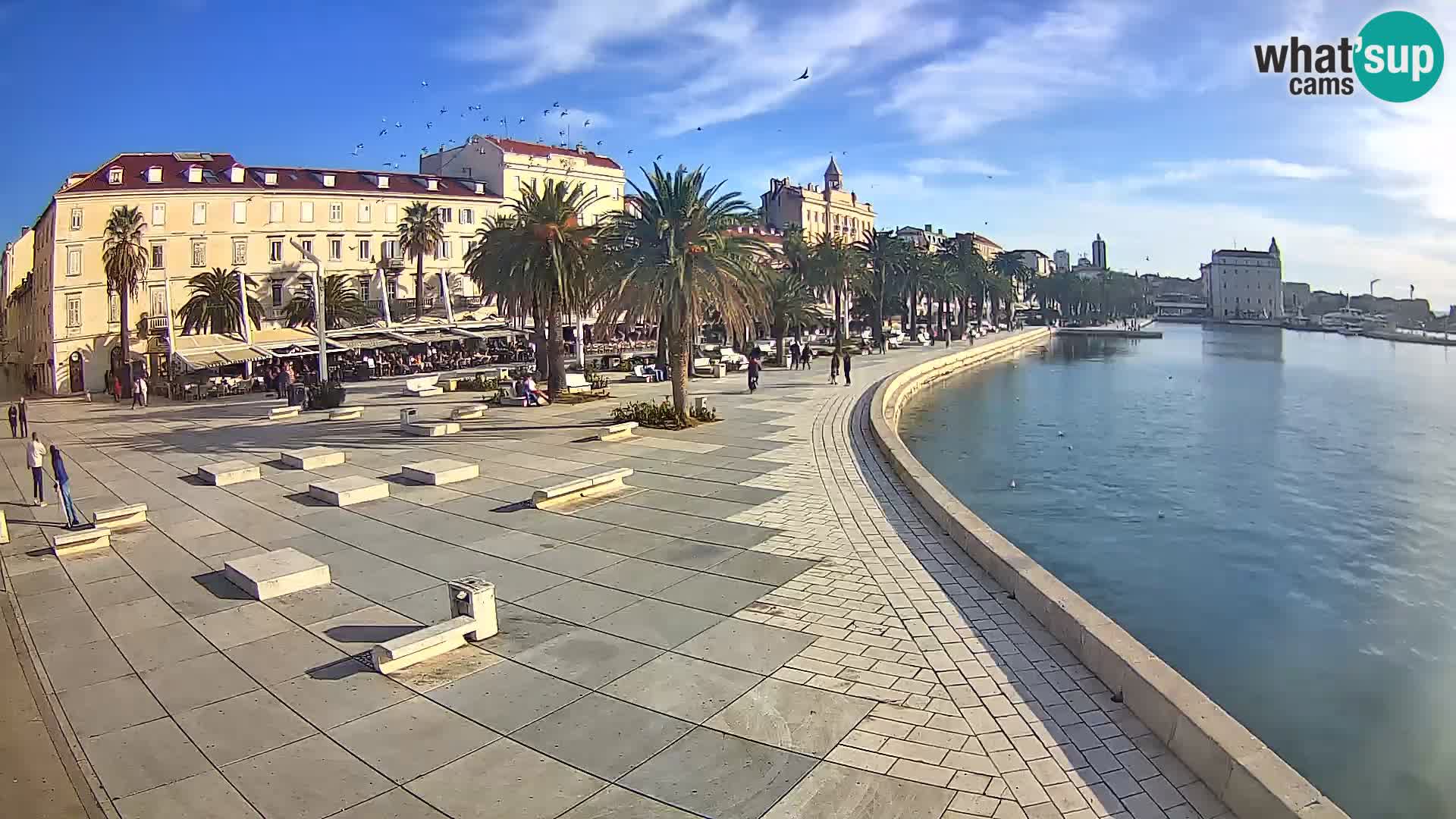 Webcam Split Riva – Prokurative | Trg Republike