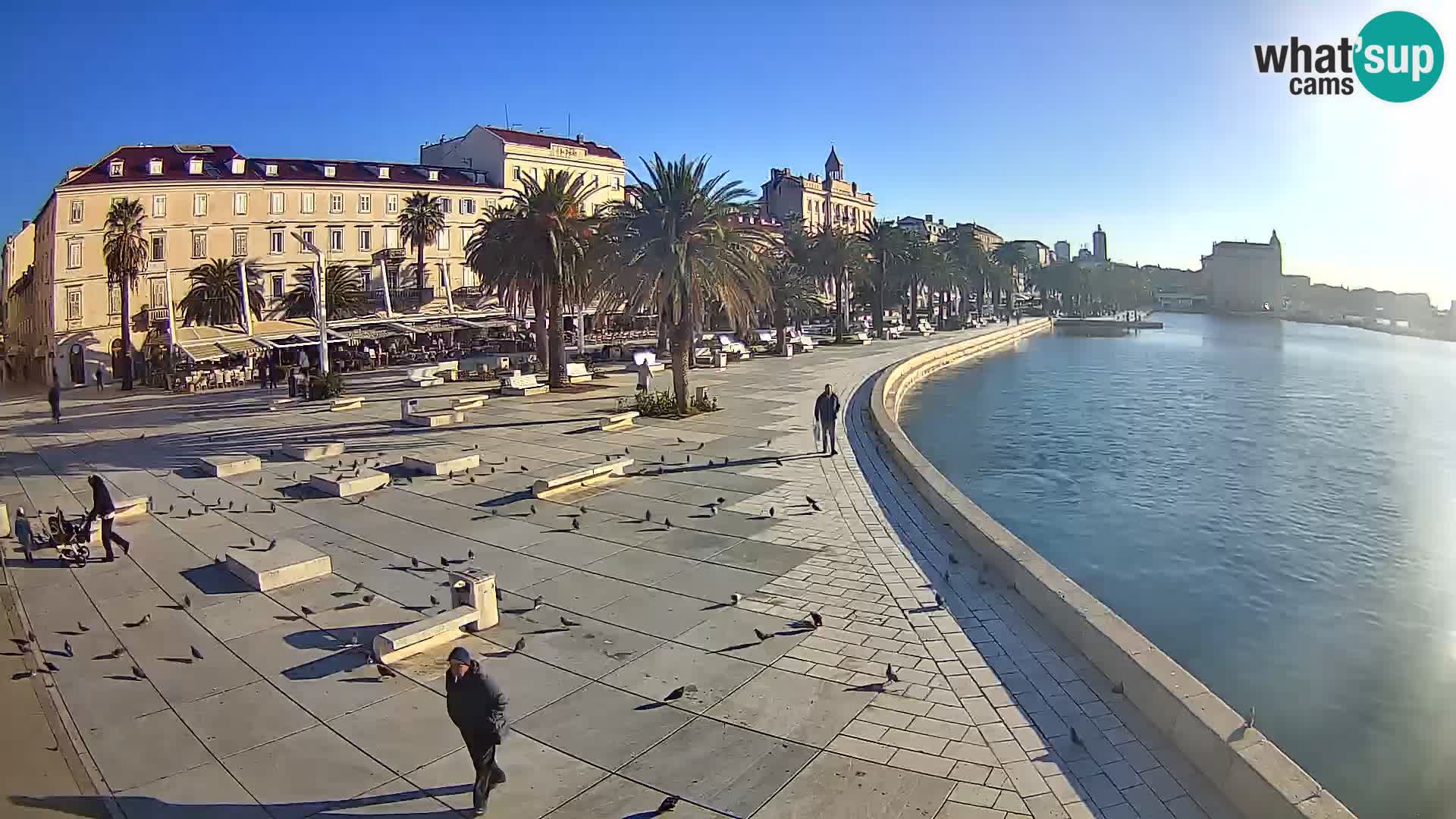 Webcam Split Riva – Prokurative | Trg Republike