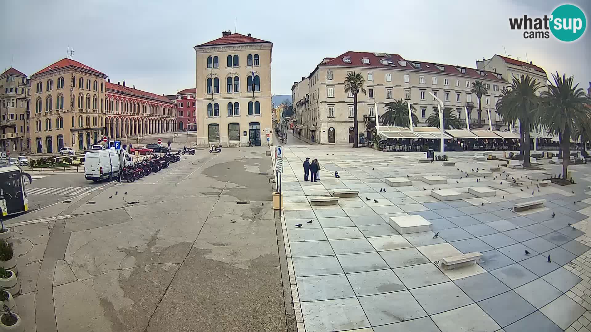 Webcam Split Riva – Prokurative | Trg Republike