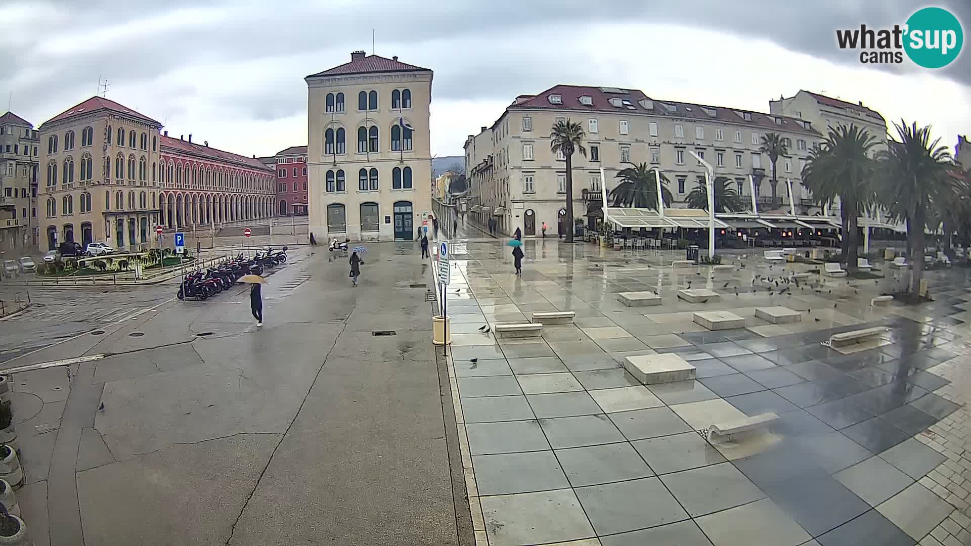 Webcam Split Riva – Prokurative | Trg Republike