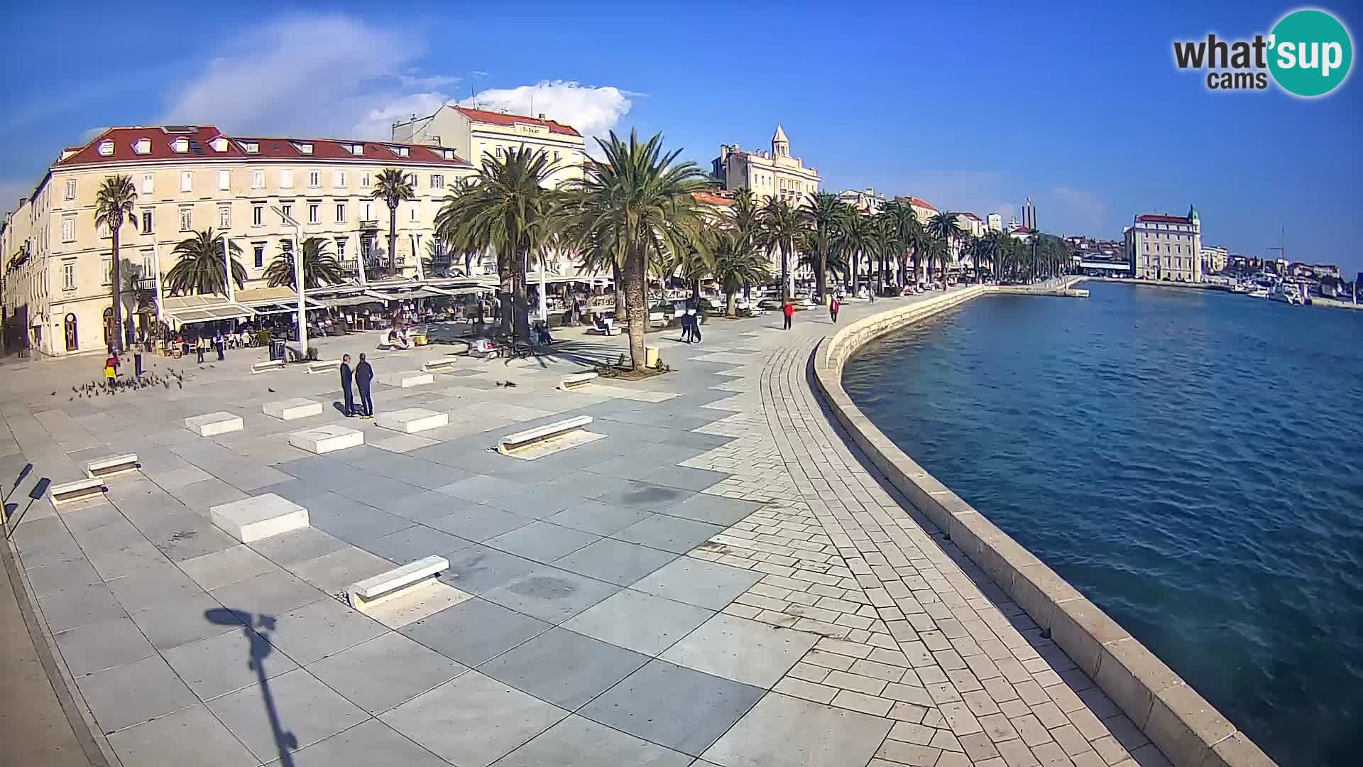 Webcam Split Riva – Prokurative | Trg Republike