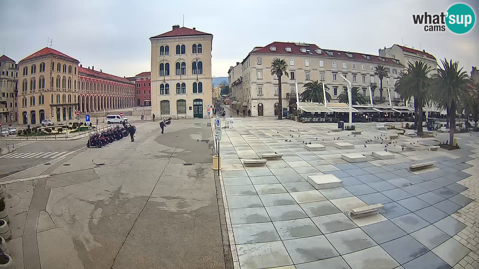 Webcam Split Riva – Prokurative | Trg Republike