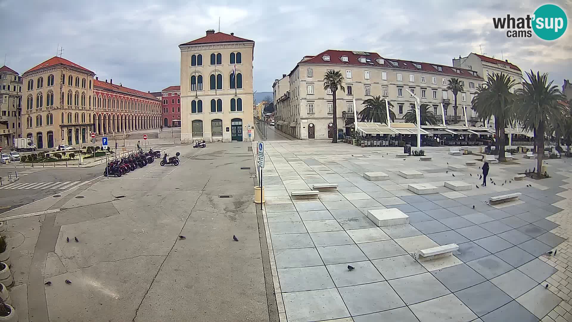 Webcam Split Riva – Prokurative | Trg Republike
