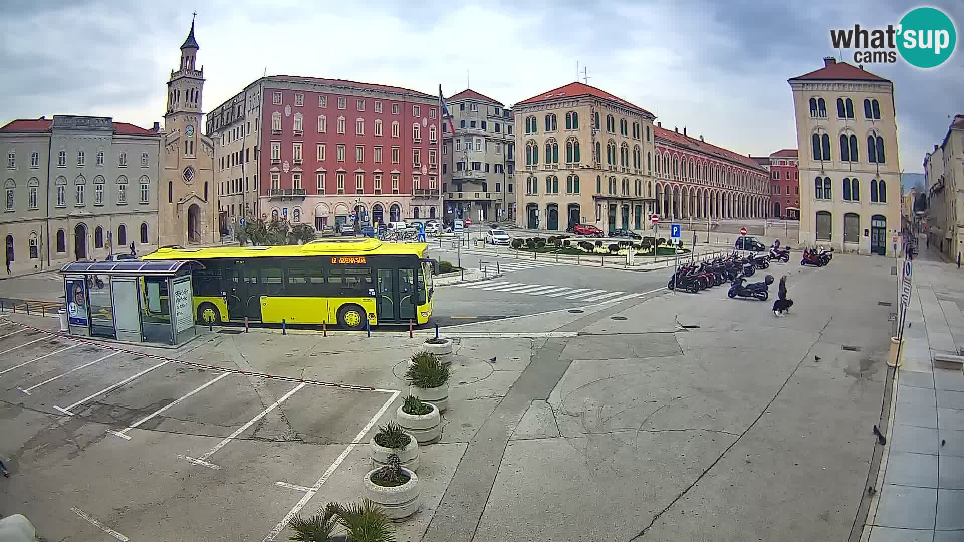 Webcam Split Riva – Prokurative | Trg Republike