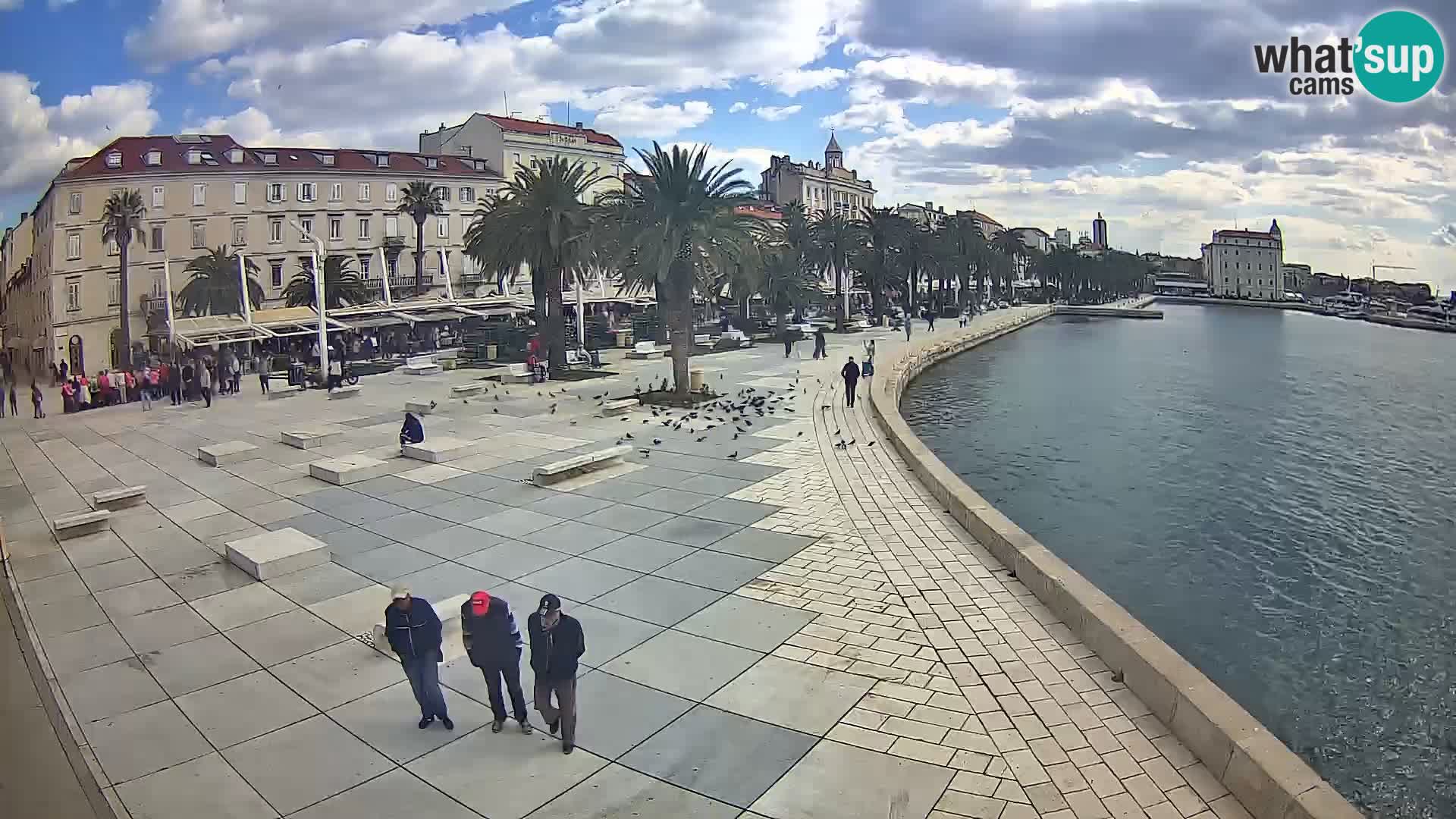 Webcam Split Riva – Prokurative | Trg Republike