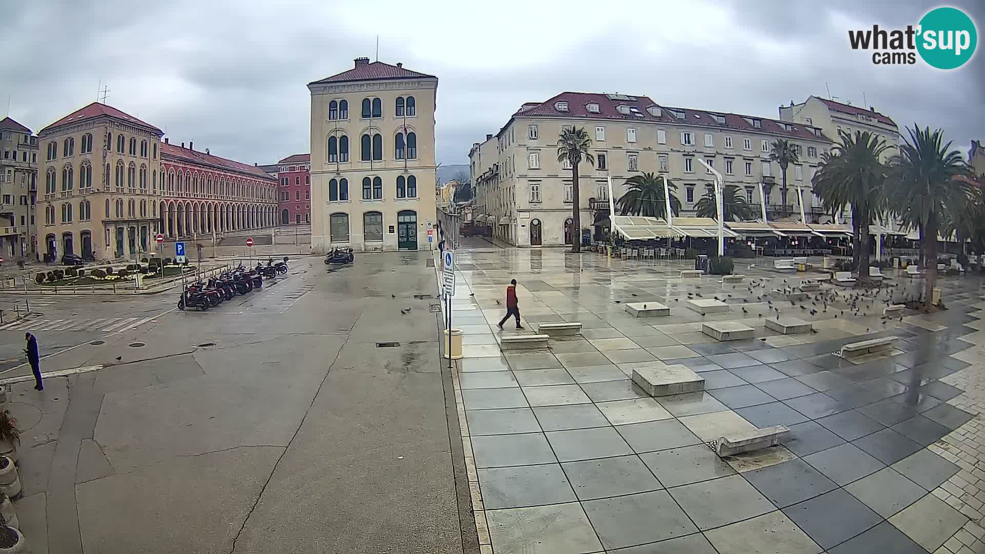 Webcam Split Riva – Prokurative | Trg Republike
