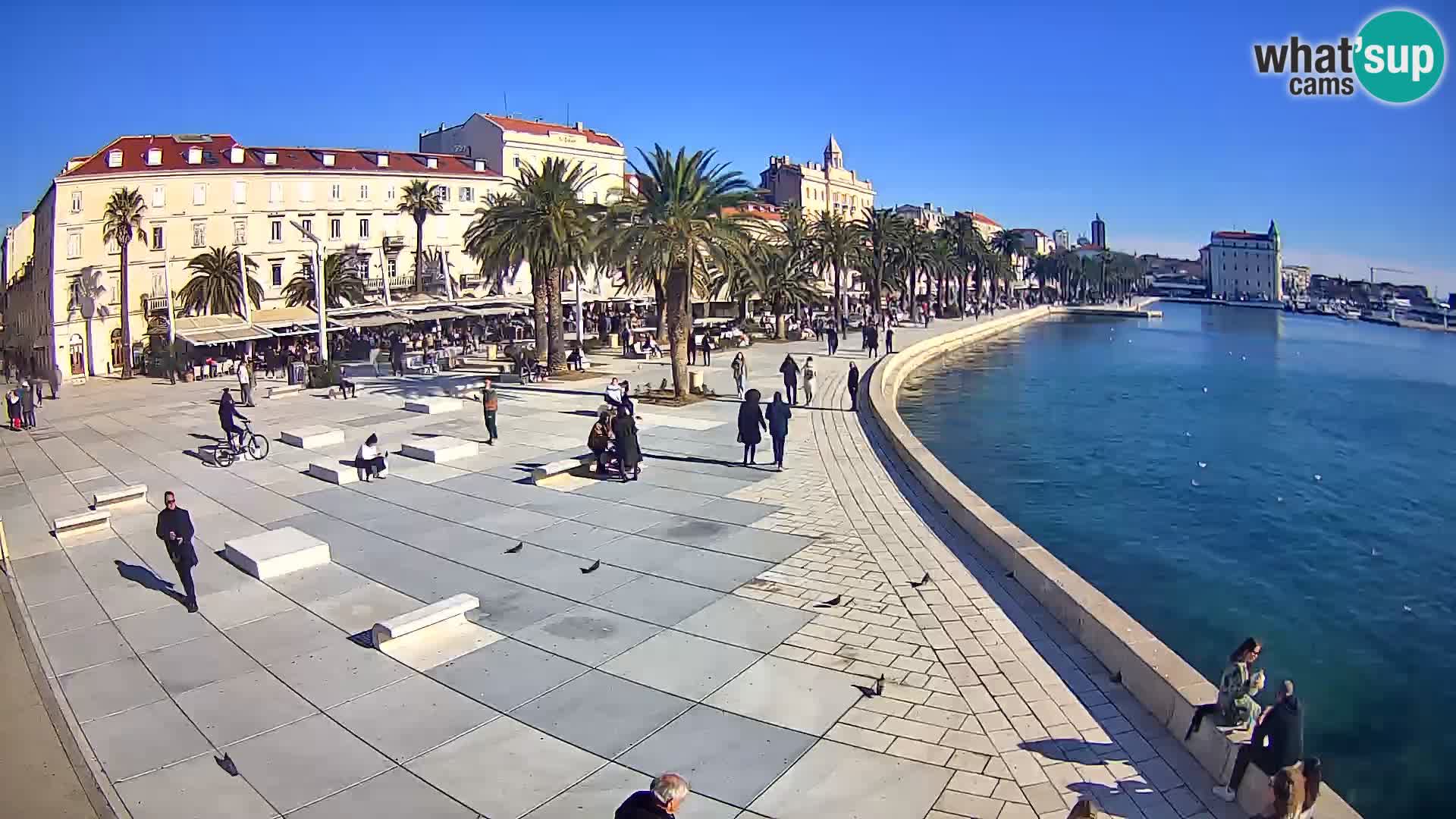 Webcam Spalato Riva – Prokurative | Piazza della Republika