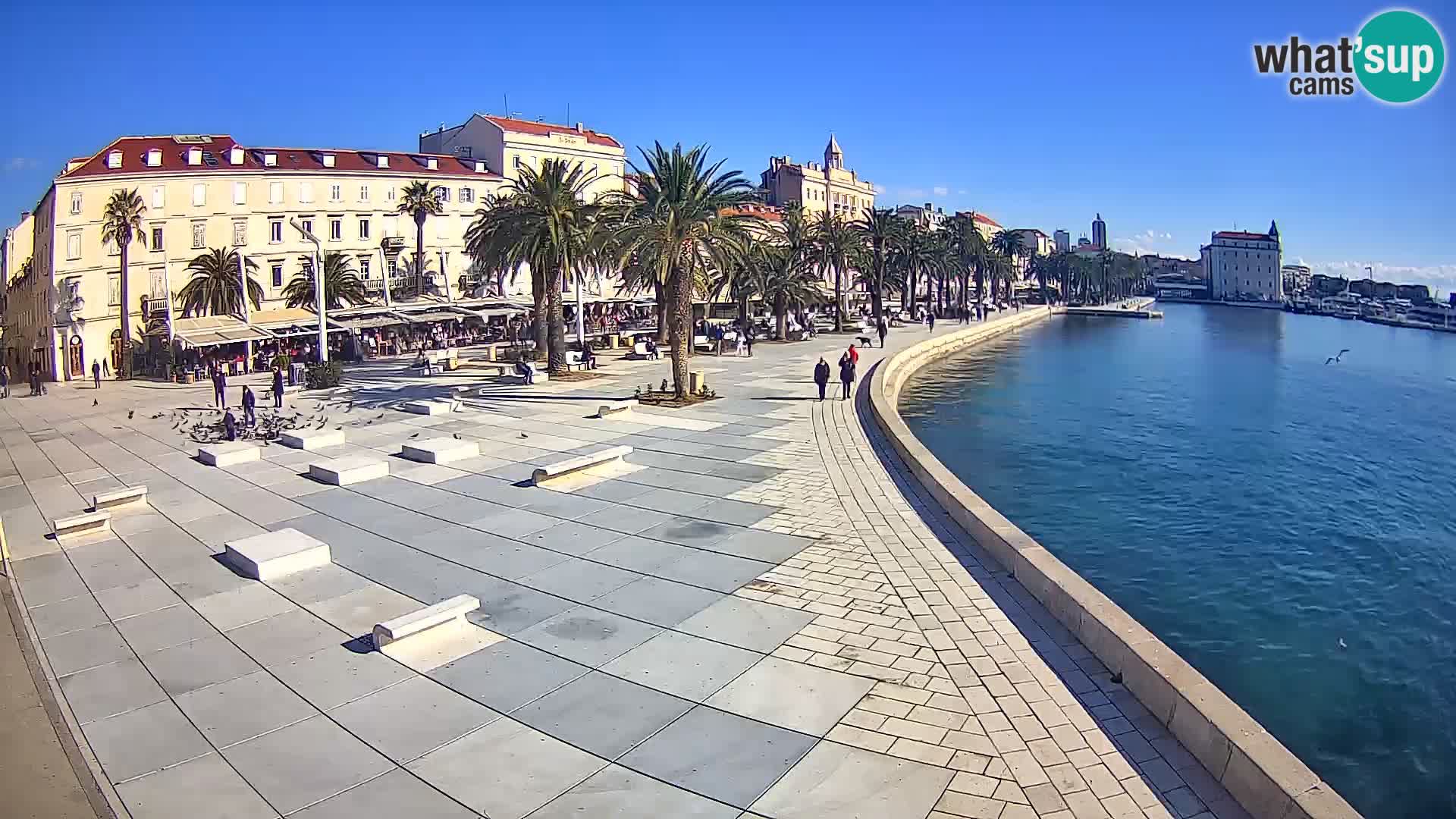 Webcam Split Riva – Prokurative | Trg Republike