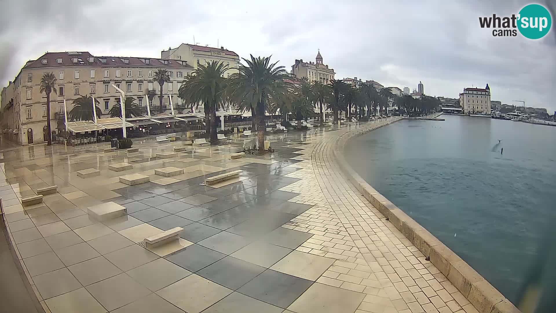 Webcam Split Riva – Prokurative | Trg Republike