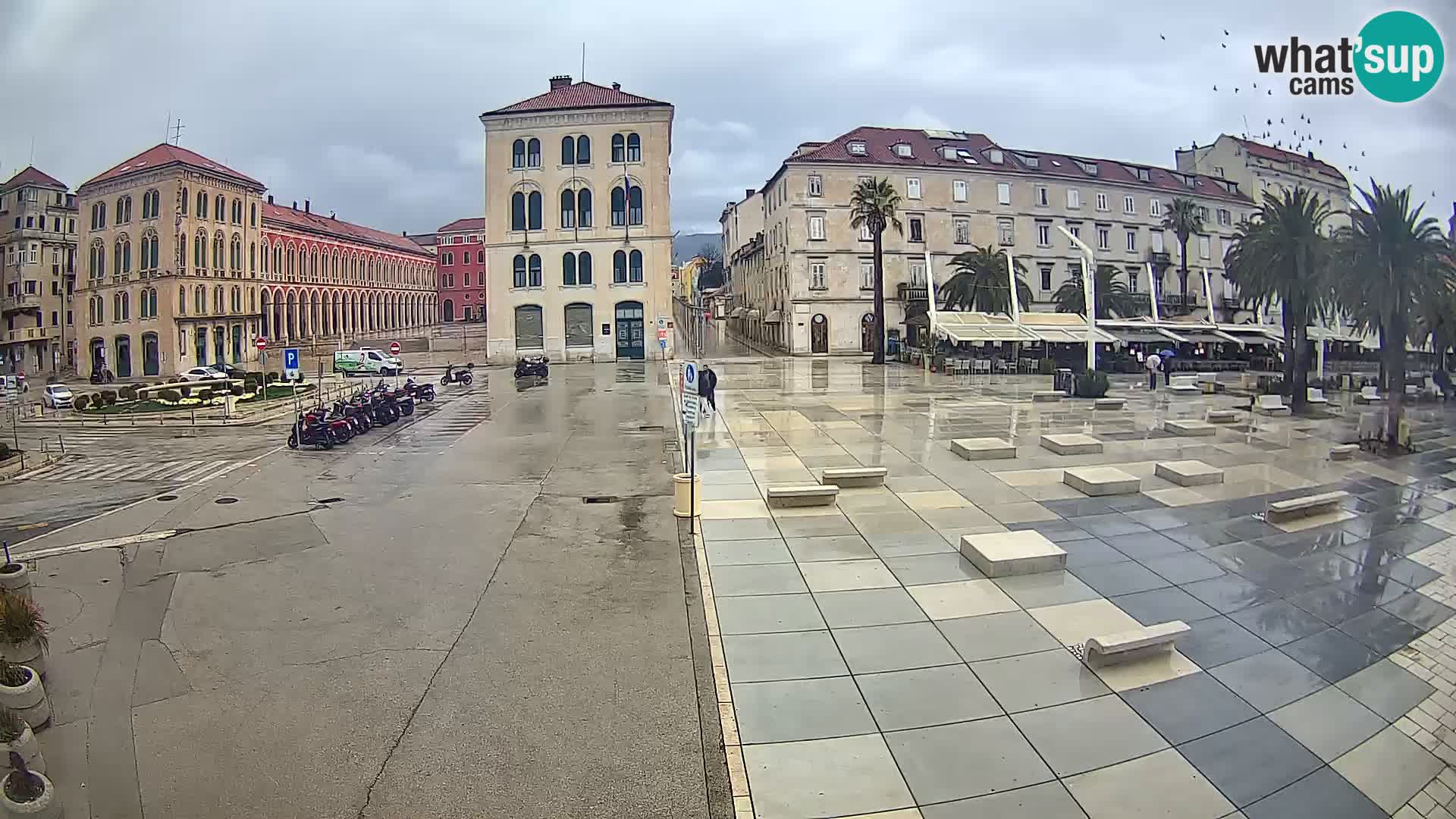 Webcam Split Riva – Prokurative | Trg Republike