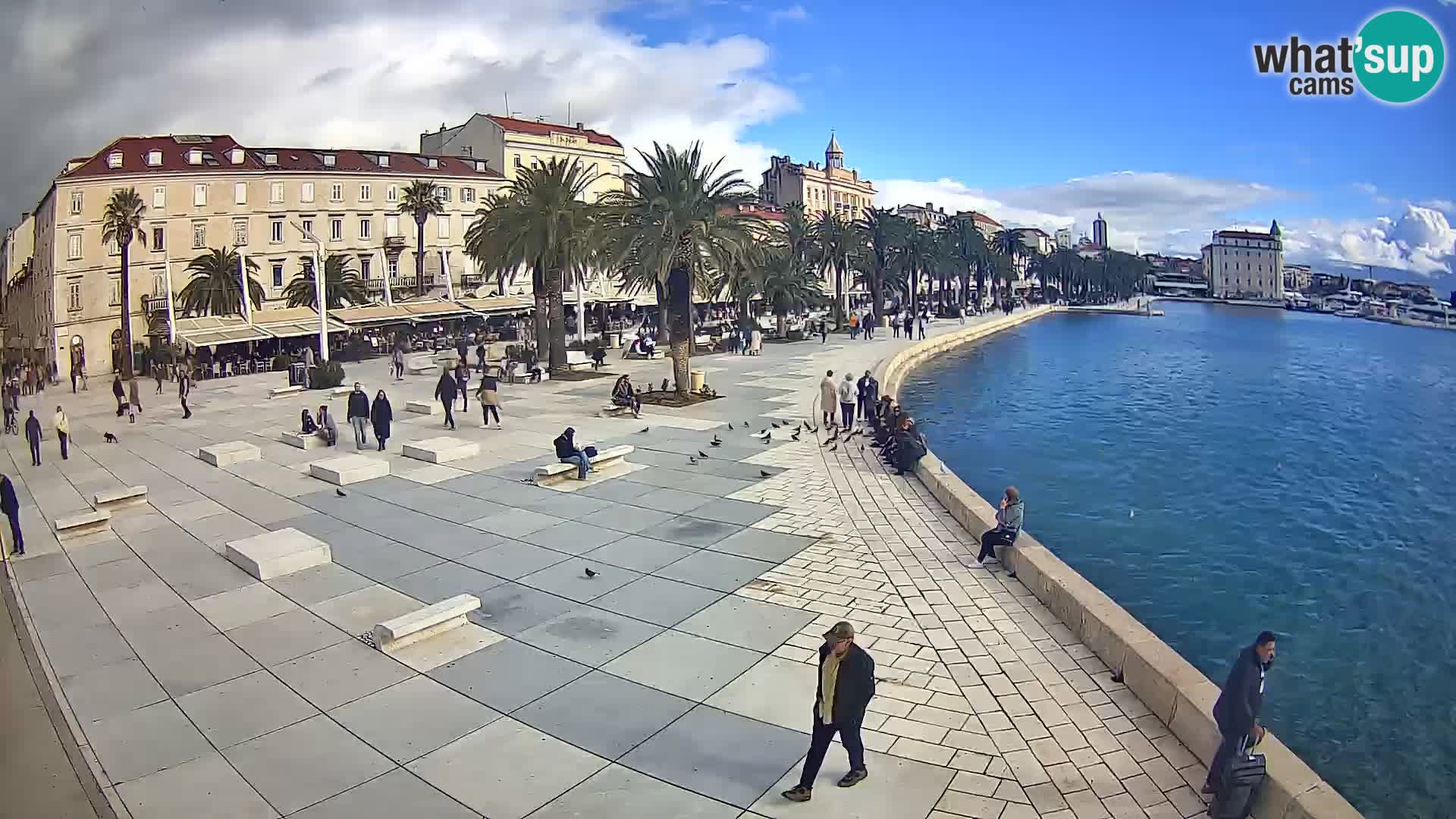 Webcam Spalato Riva – Prokurative | Piazza della Republika