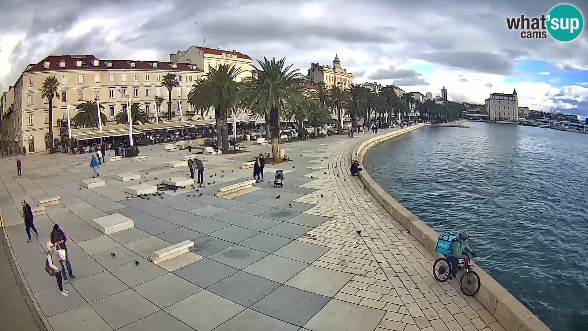 Webcam Split Riva – Prokurative | Trg Republike