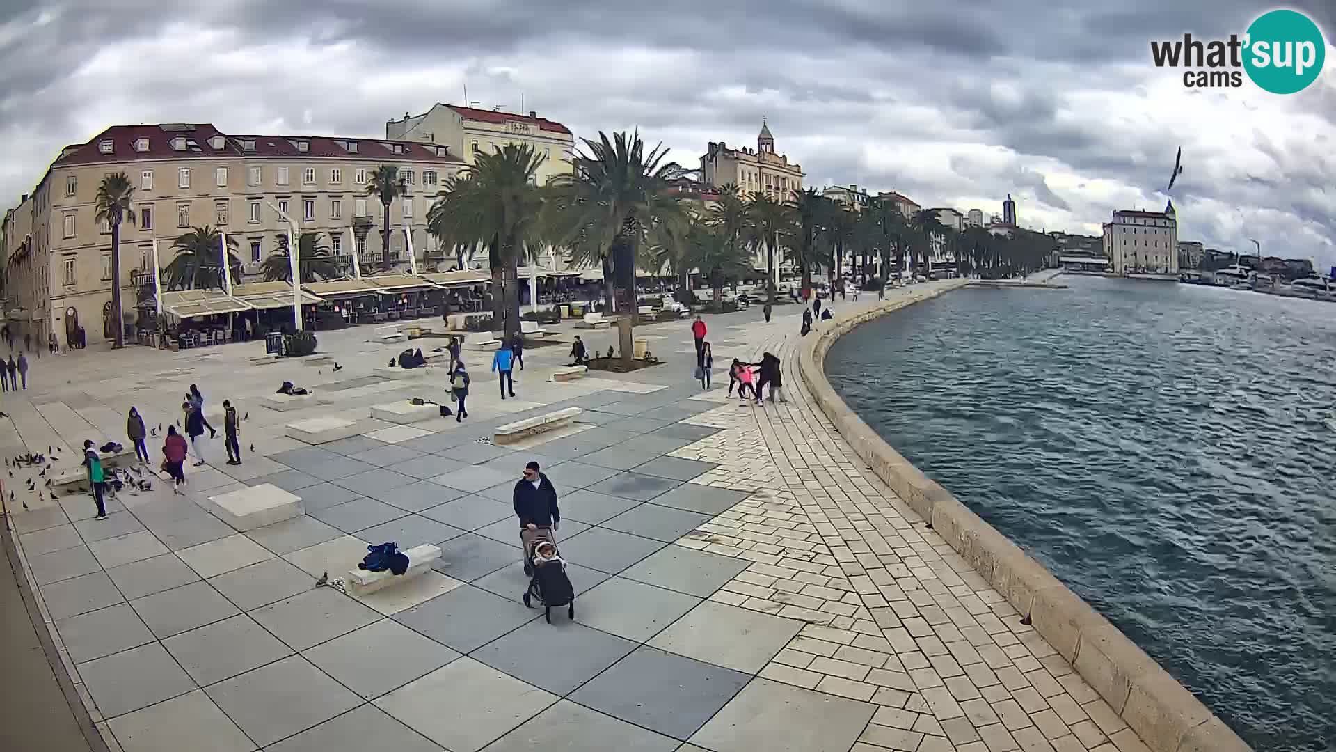 Webcam Split Riva – Prokurative | Plaza de la República