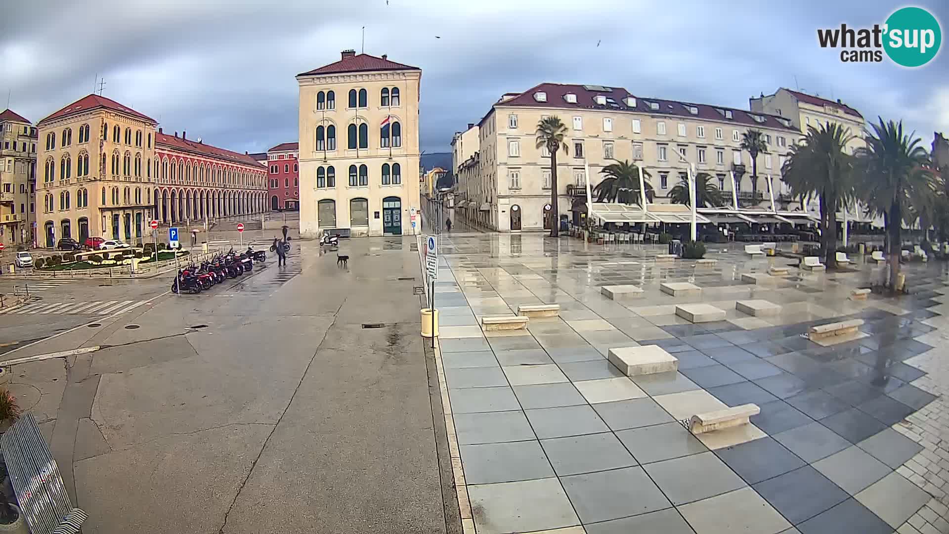 Webcam Split Riva – Prokurative | Trg Republike