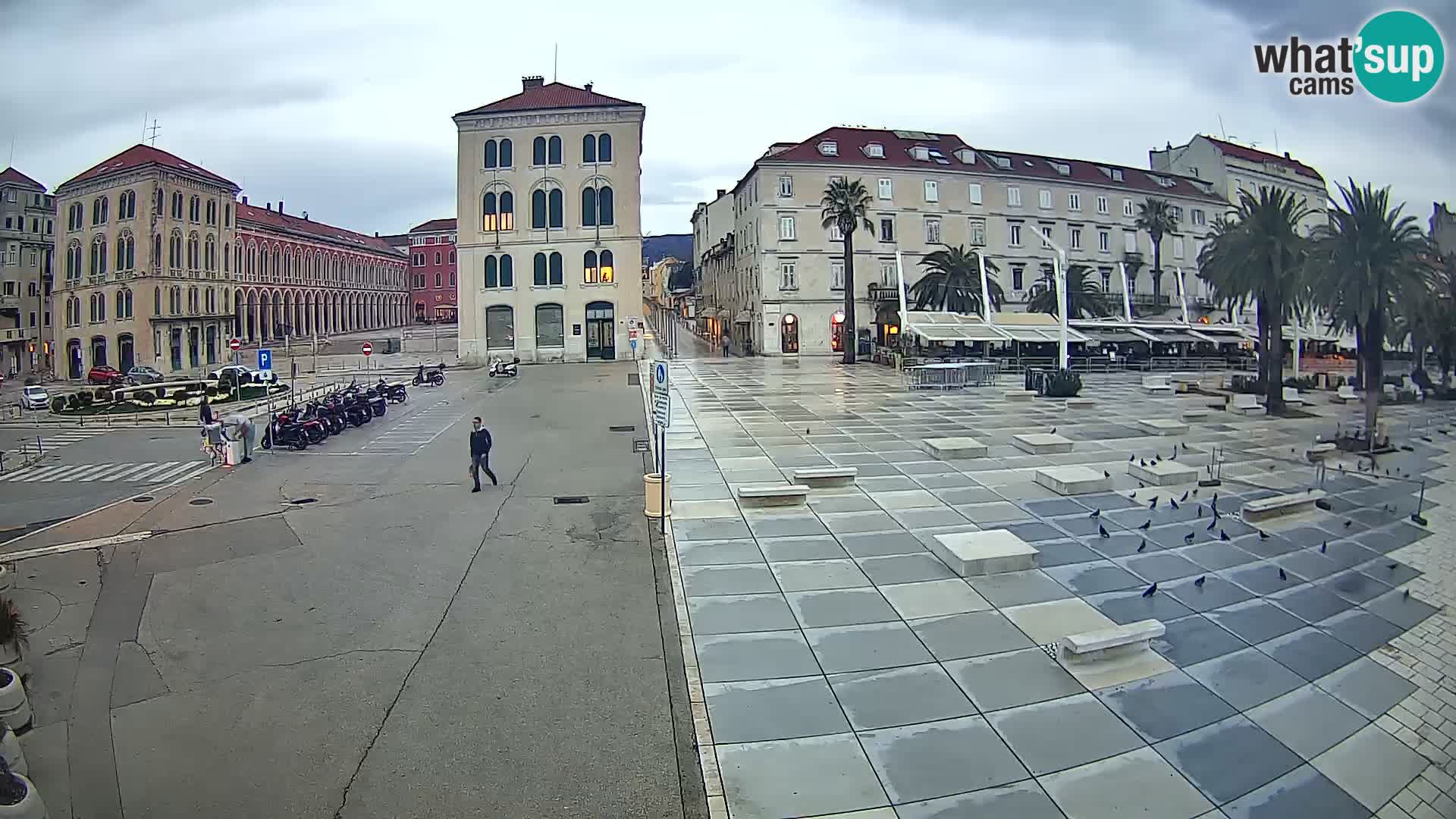 Webcam Split Riva – Prokurative | Trg Republike