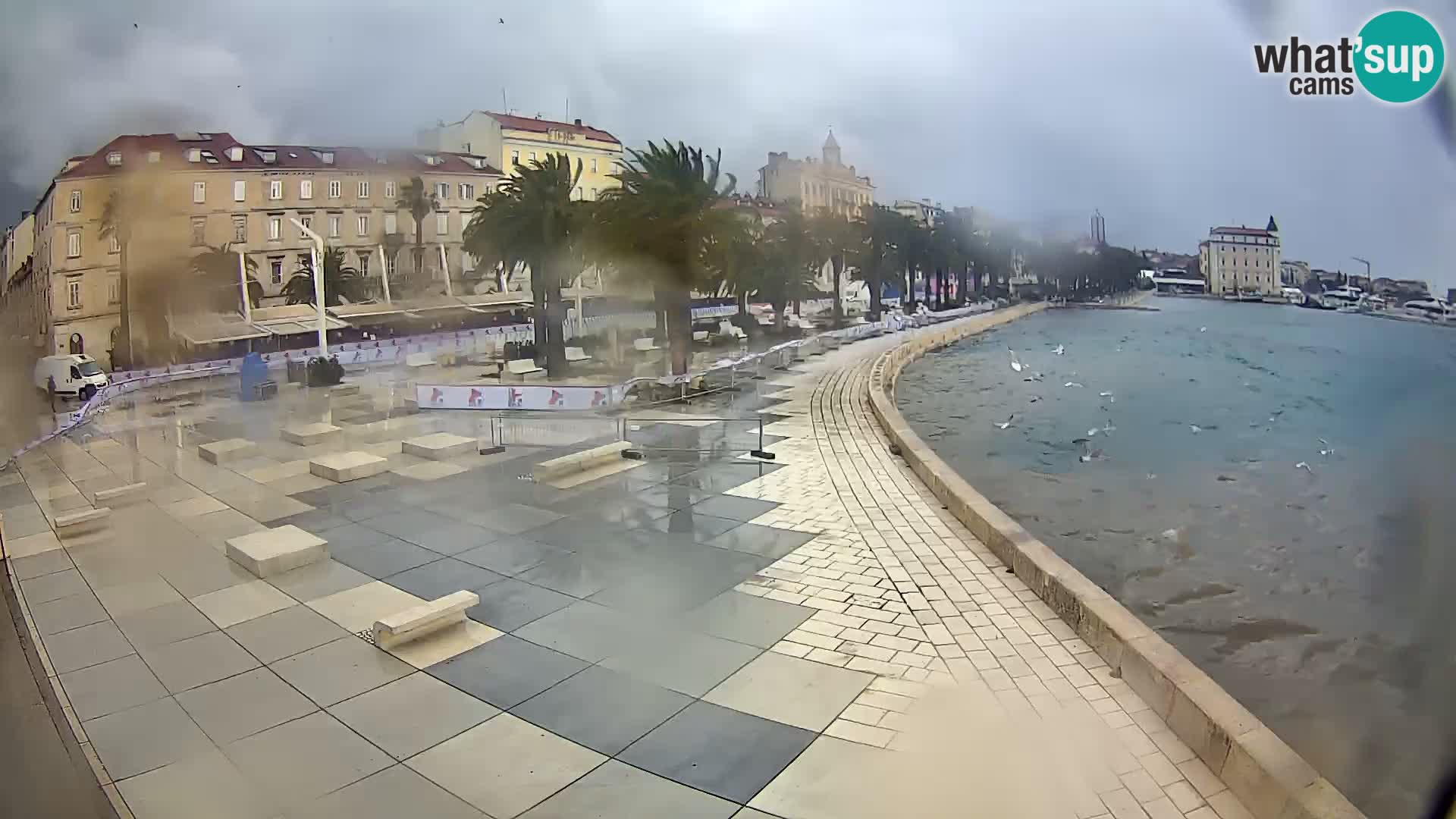 Webcam Split Riva – Prokurative | Trg Republike