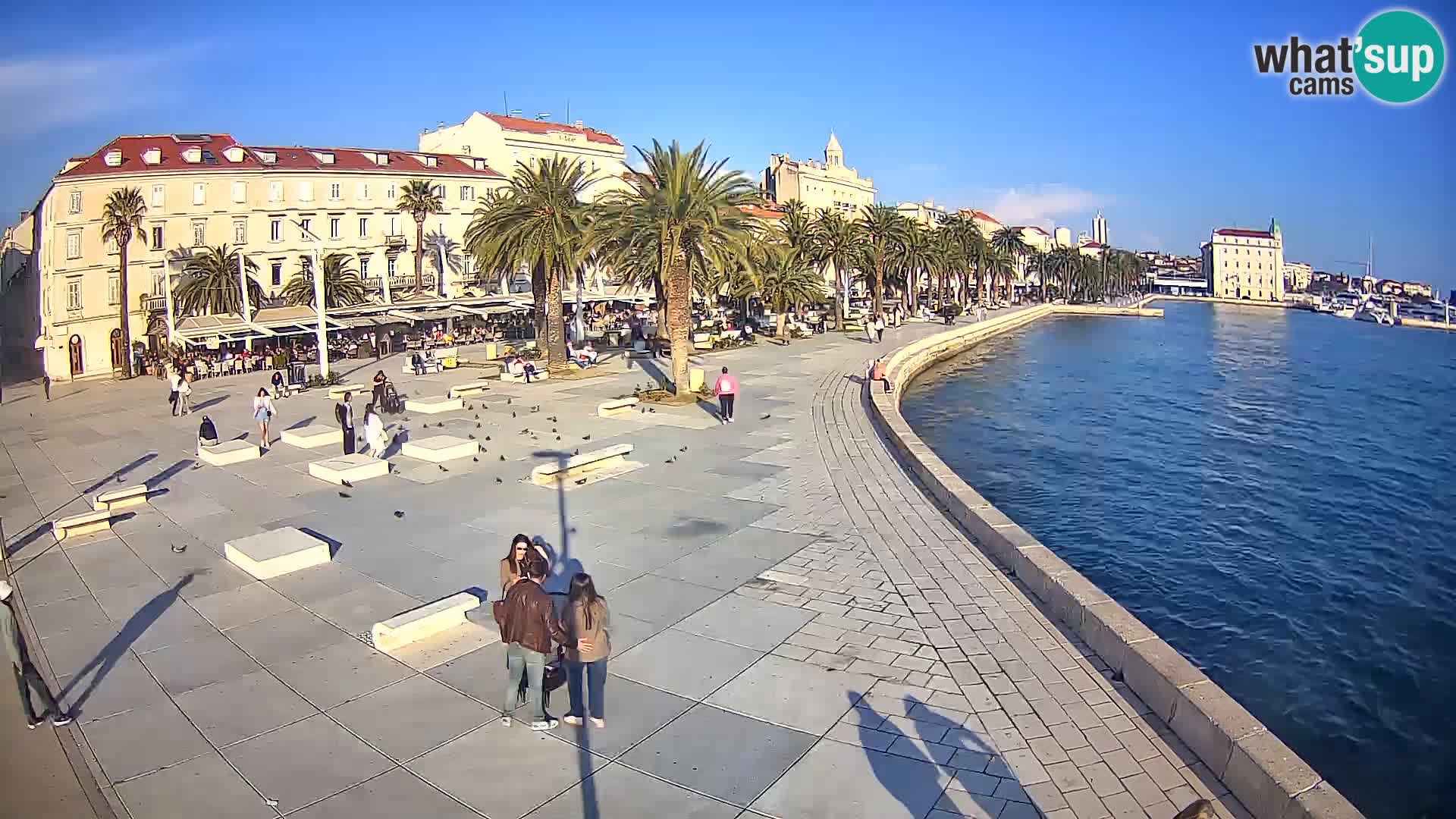 Webcam Split Riva – Prokurative | Trg Republike