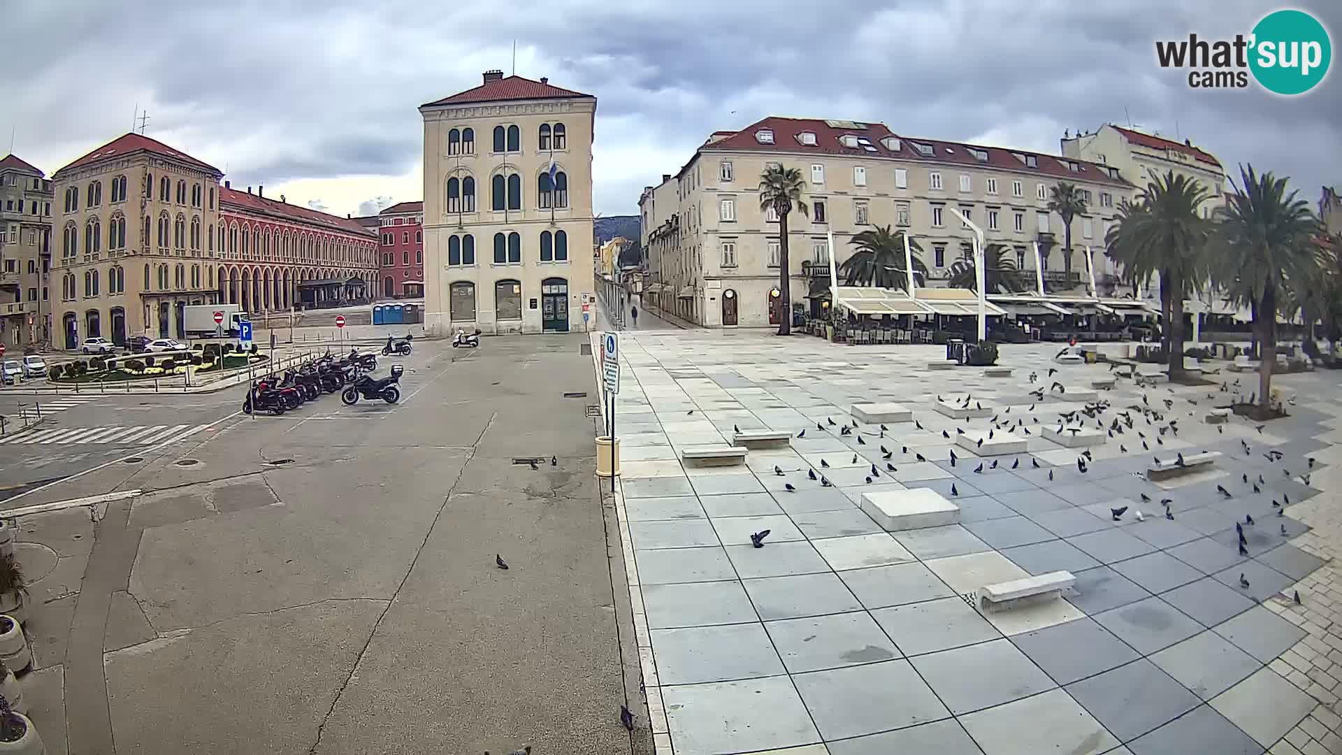 Webcam Split Riva – Prokurative | Trg Republike
