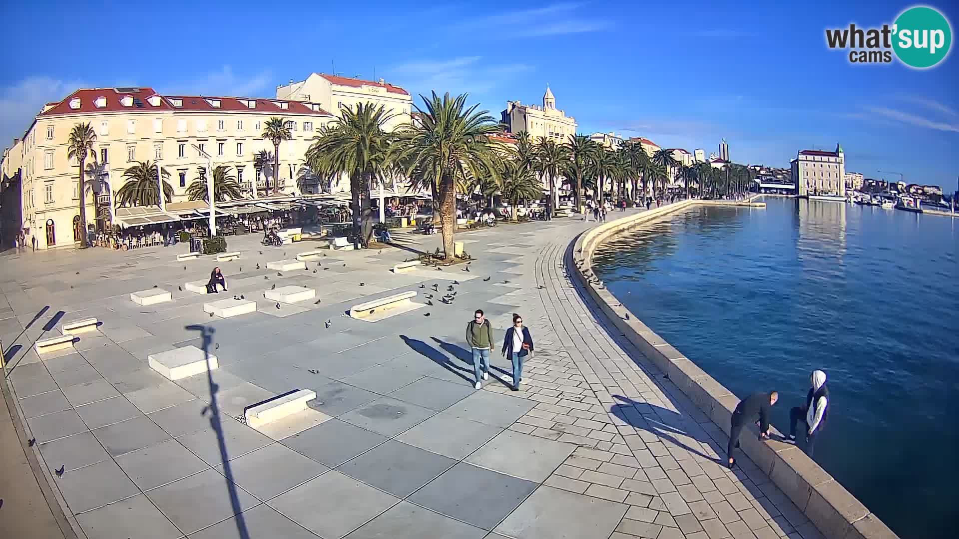 Webcam Split Riva – Prokurative | Trg Republike