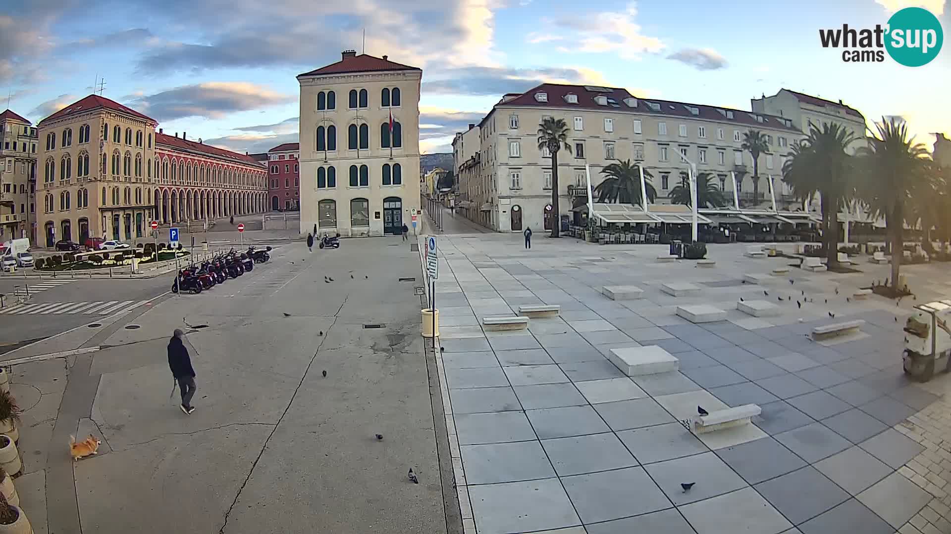 Webcam Split Riva – Prokurative | Trg Republike