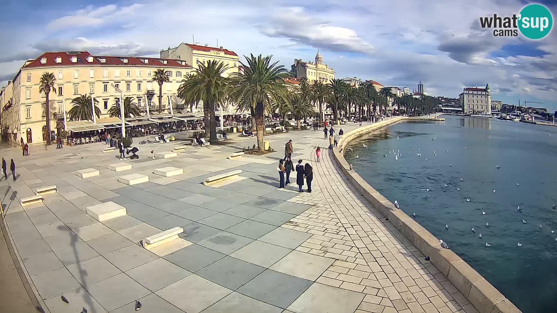 Webcam Split Riva – Prokurative | Trg Republike
