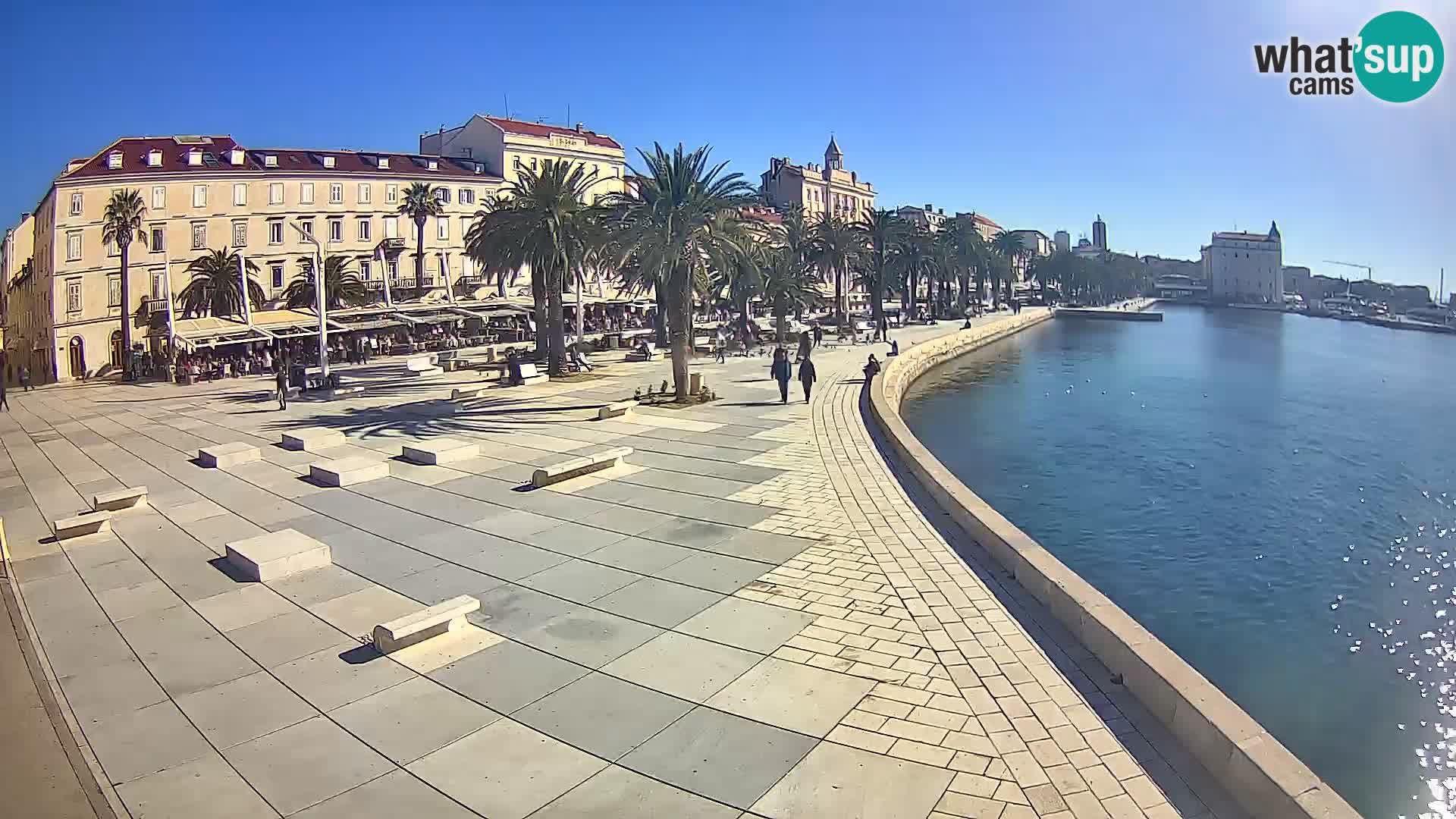 Webcam Split Riva – Prokurative | Trg Republike