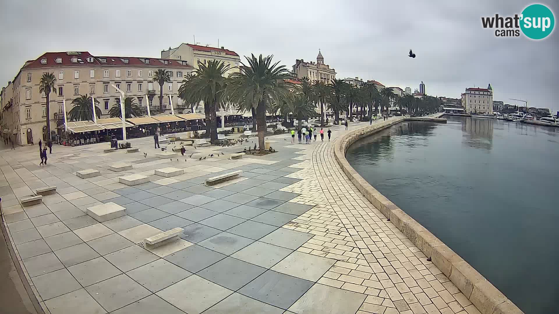 Split kamera Riva – Prokurative | Trg Republike
