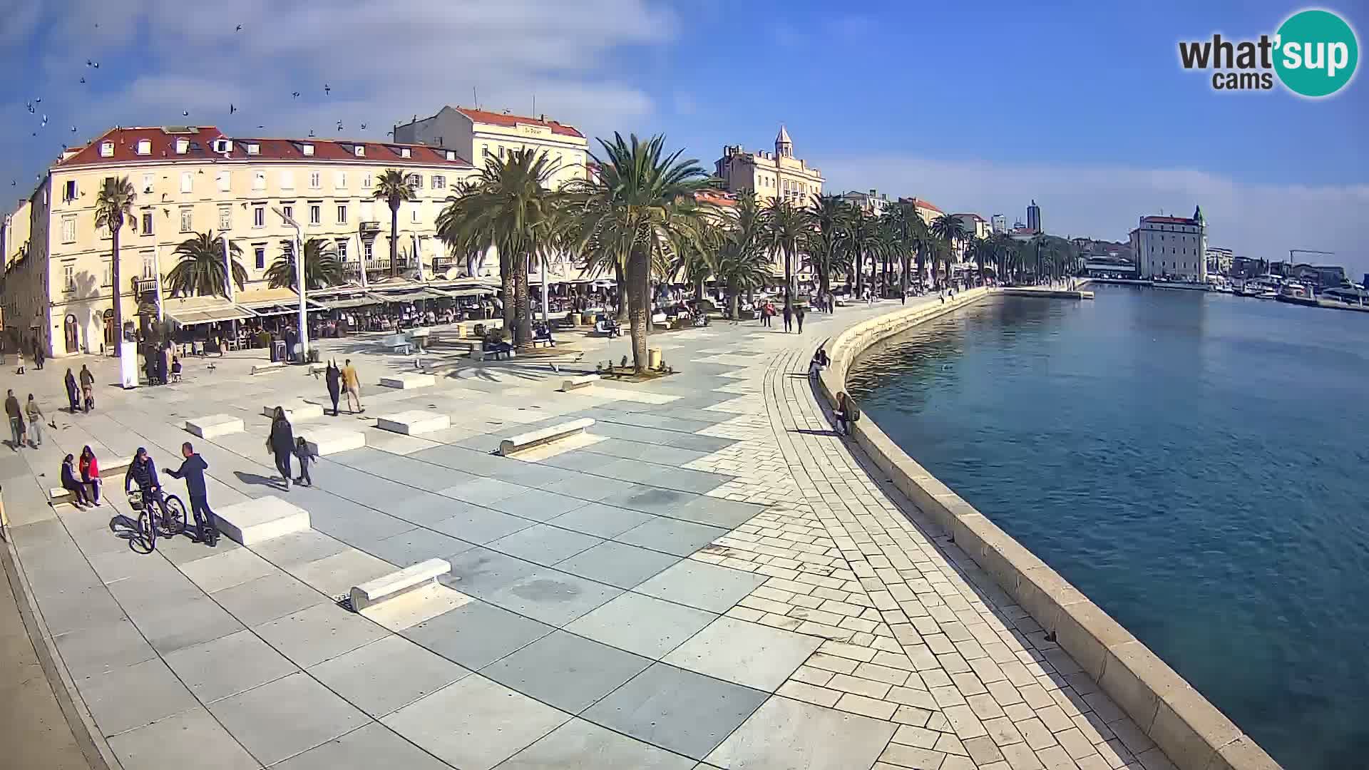 Webcam Split Riva – Prokurative | Trg Republike