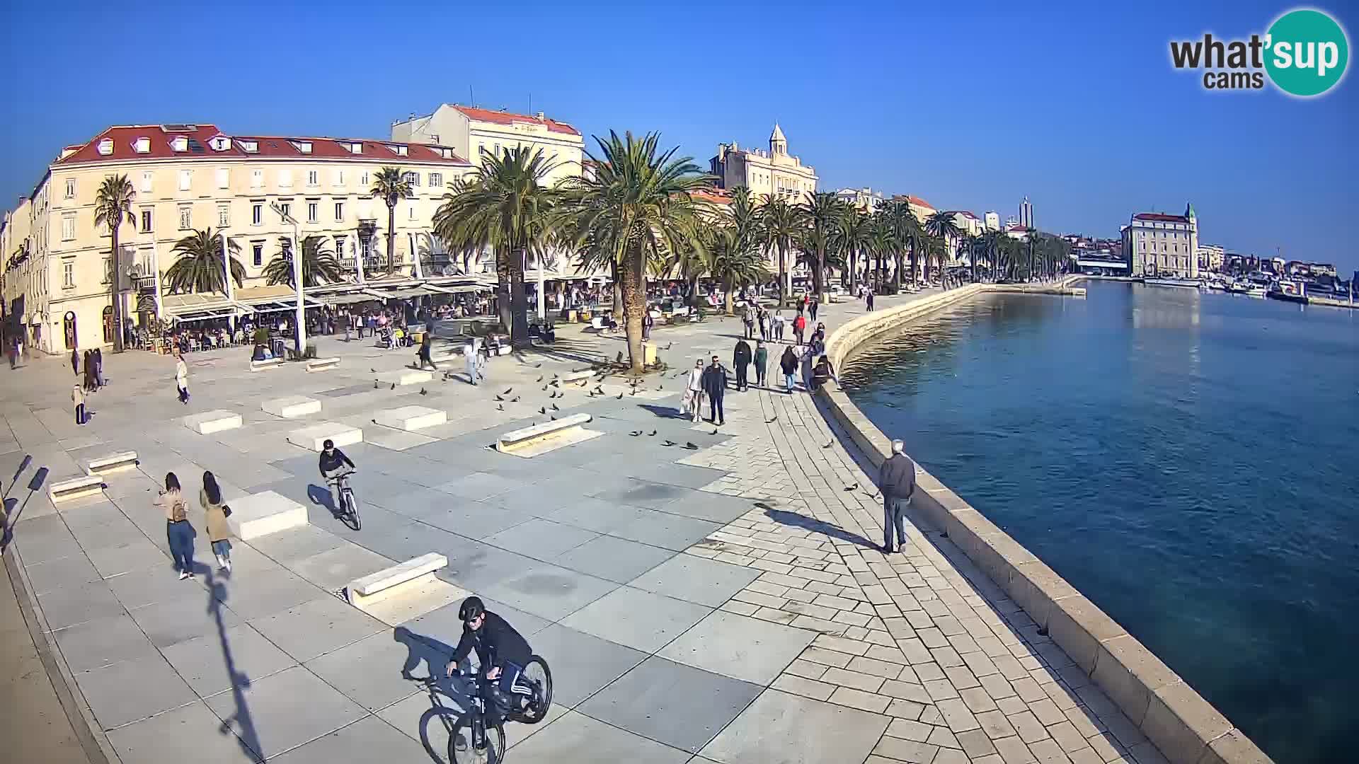 Webcam Split Riva – Prokurative | Trg Republike