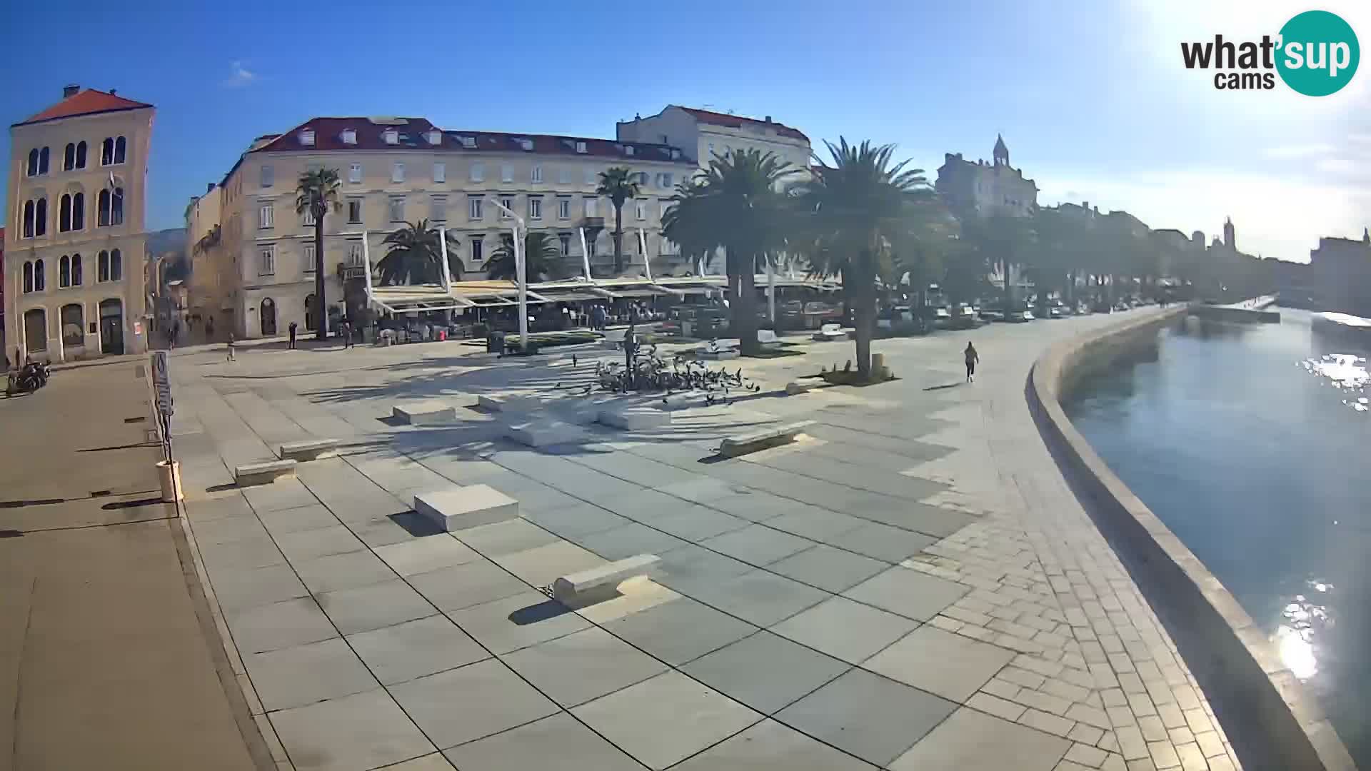 Webcam Split Riva – Prokurative | Trg Republike