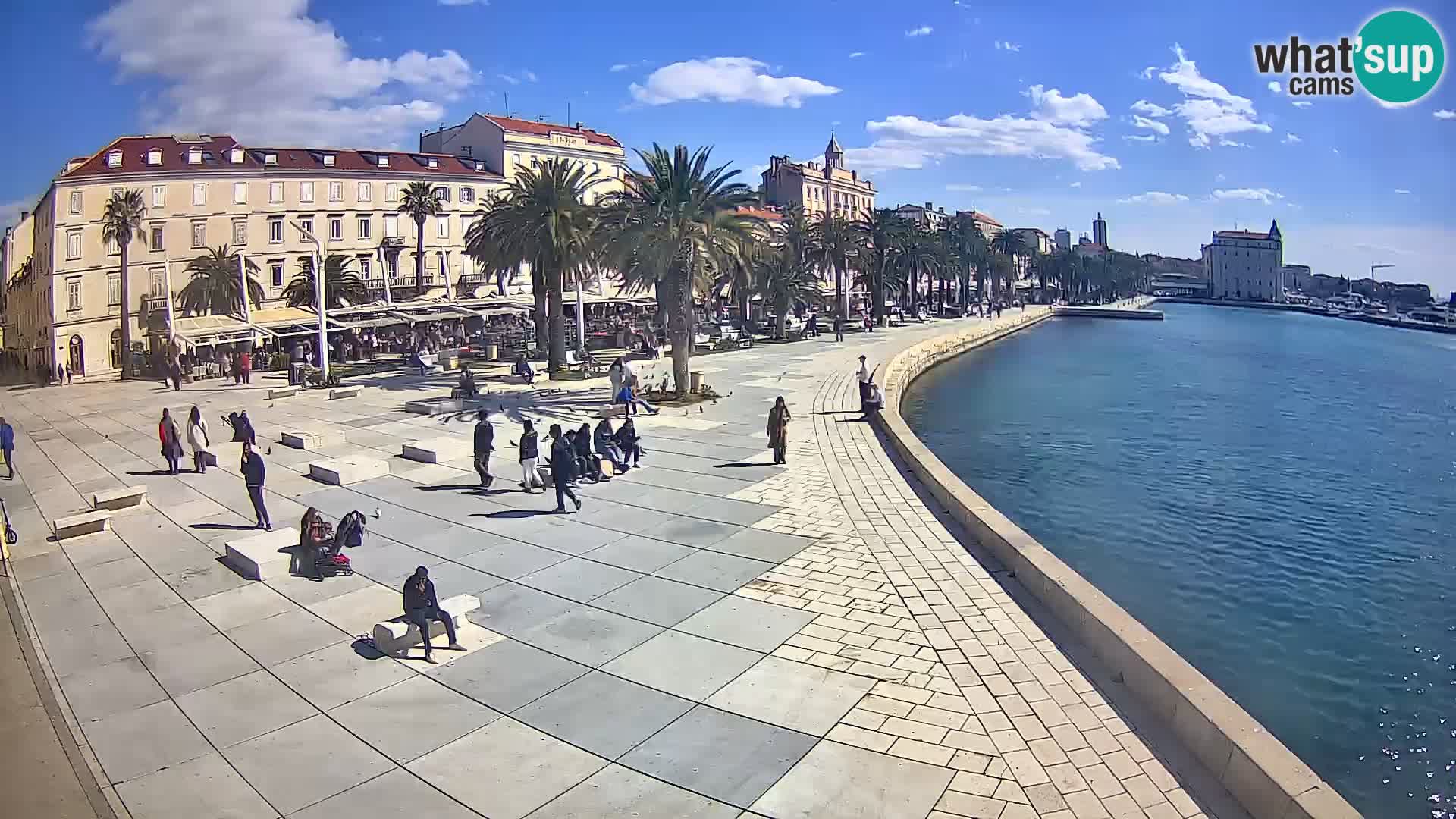 Webcam Split Riva – Prokurative | Trg Republike