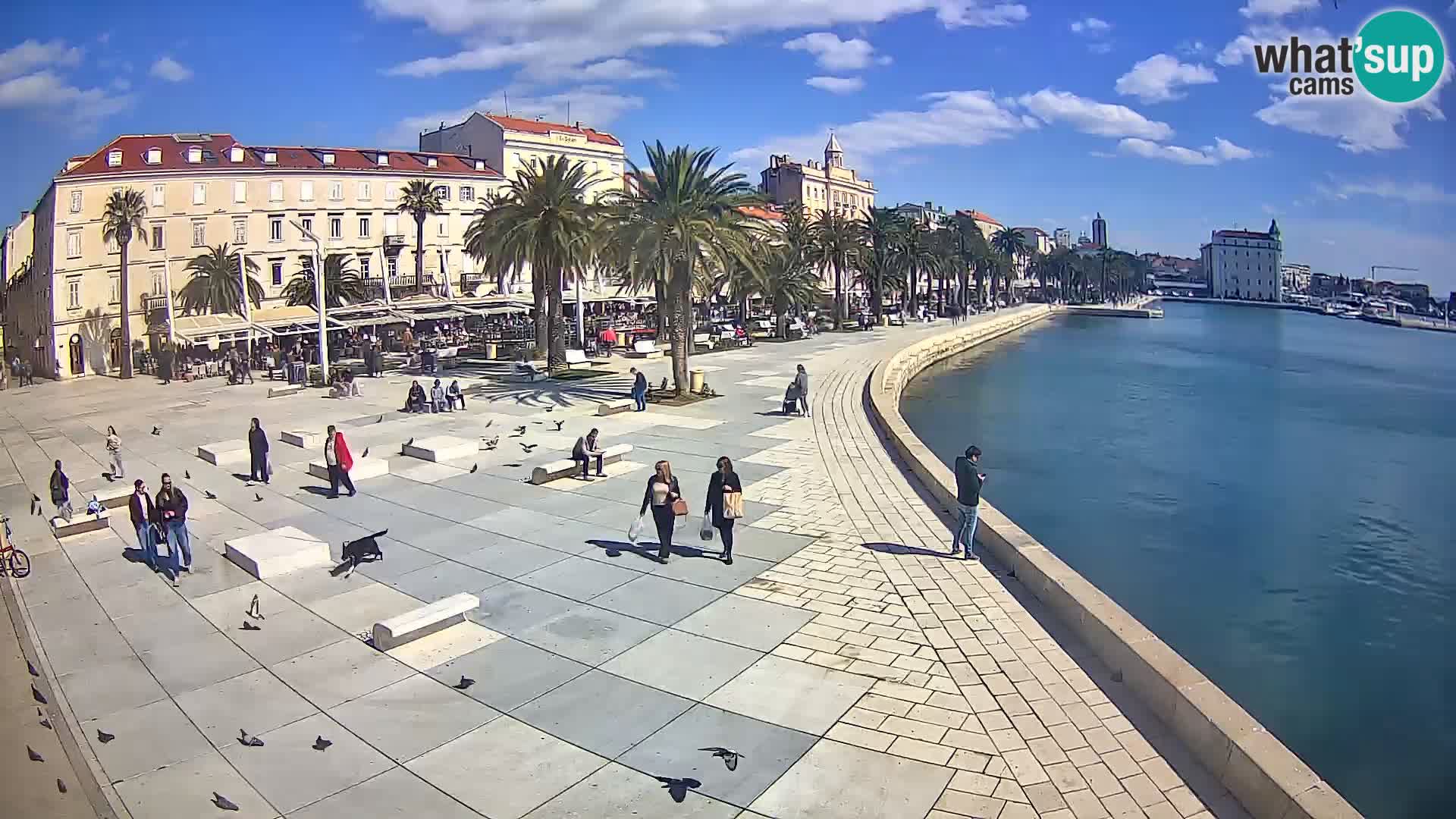 Split kamera Riva – Prokurative | Trg Republike