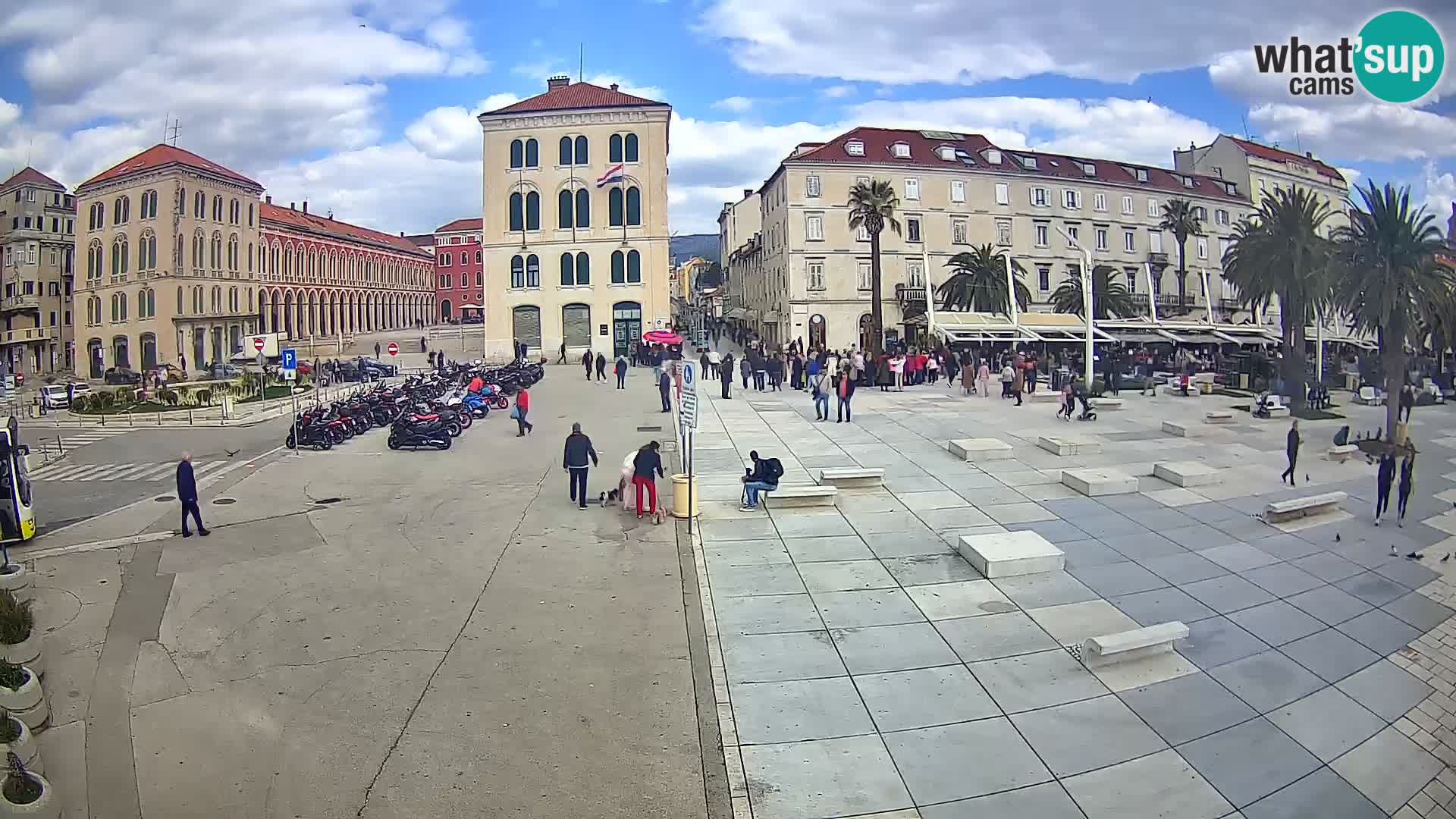 Webcam Split Riva – Prokurative | Trg Republike
