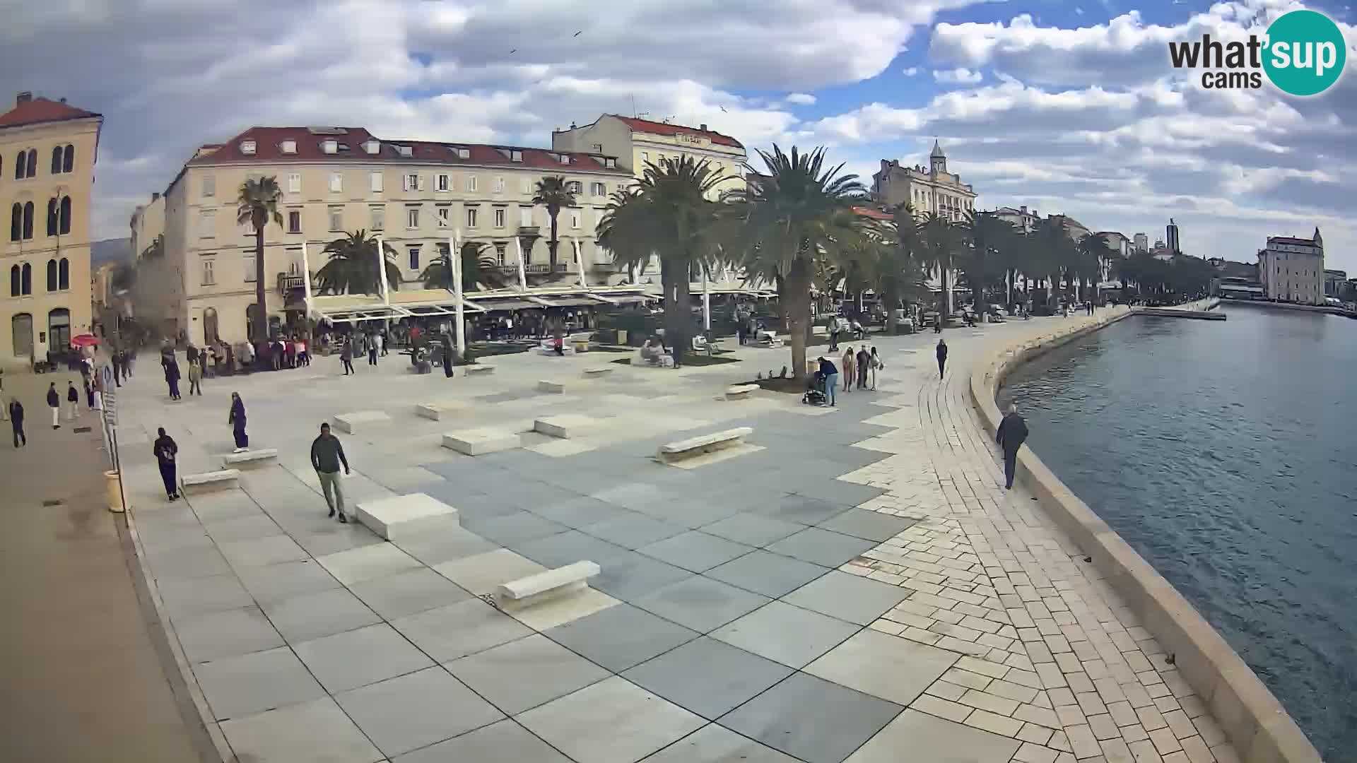 Webcam Split Riva – Prokurative | Trg Republike